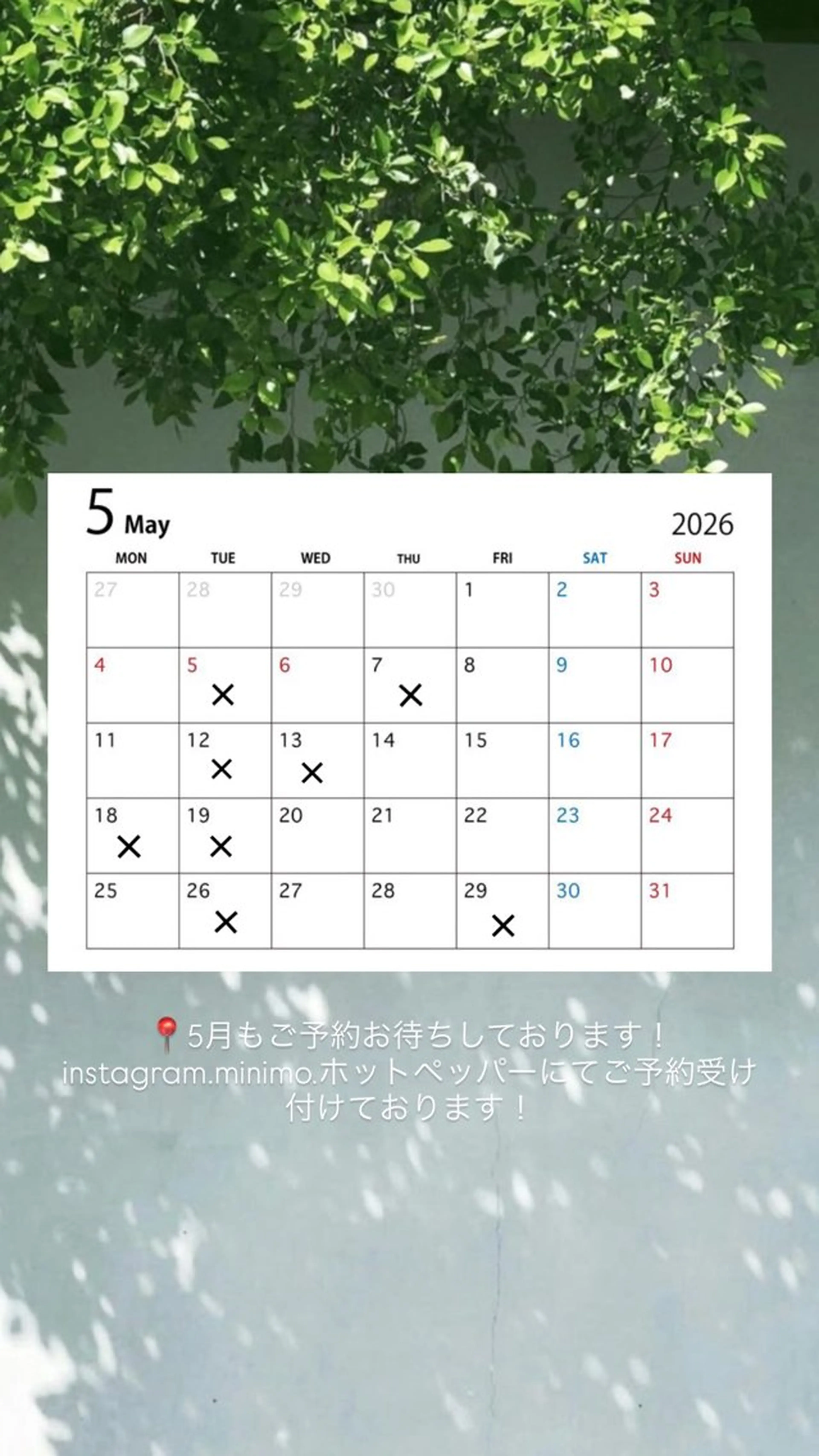 トリートメント 本澤 朋香のヘアスタイル