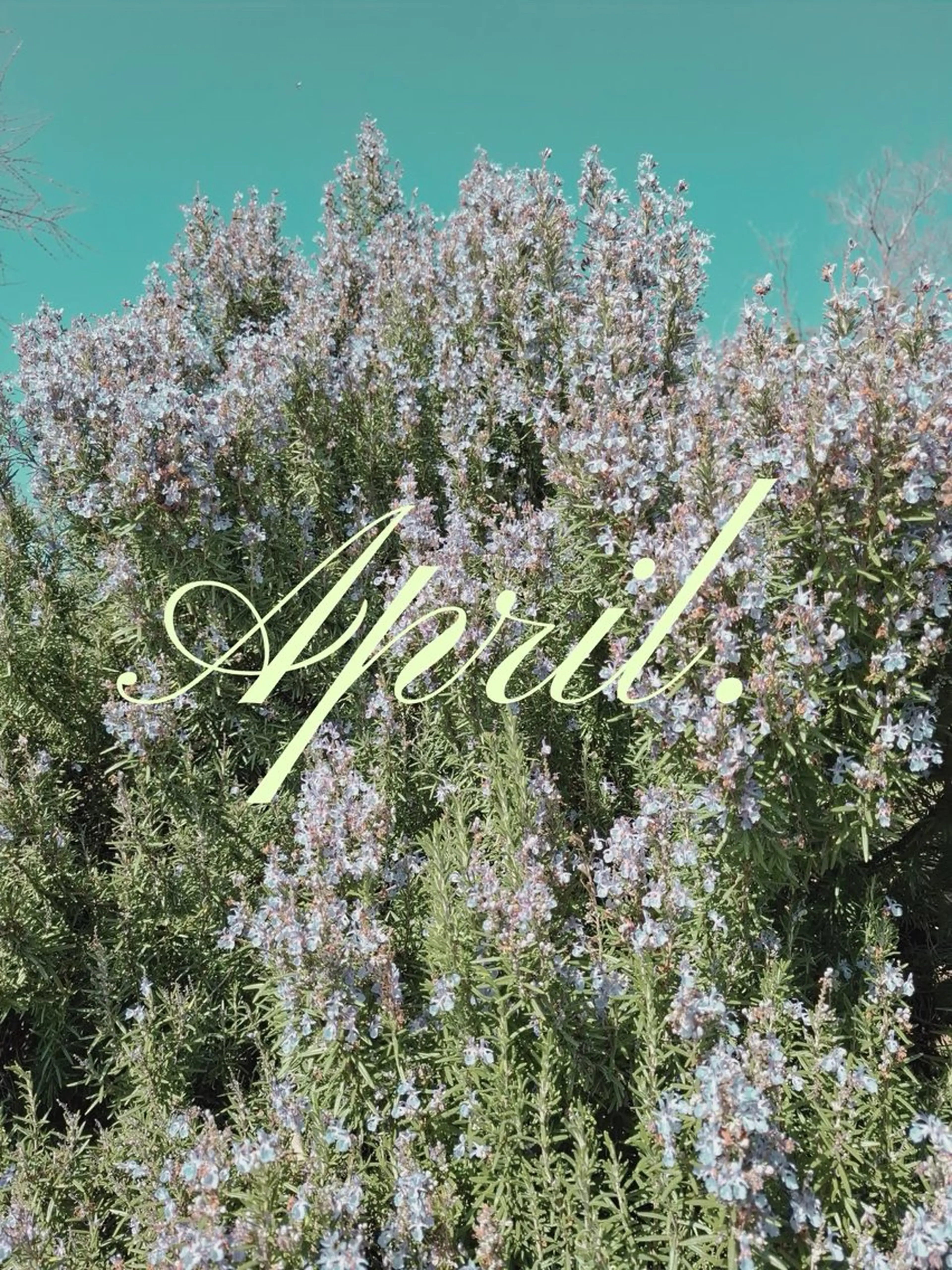 ネイル ハンドネイル Hata nail 🎀個性派ニュアンスのネイルデザイン