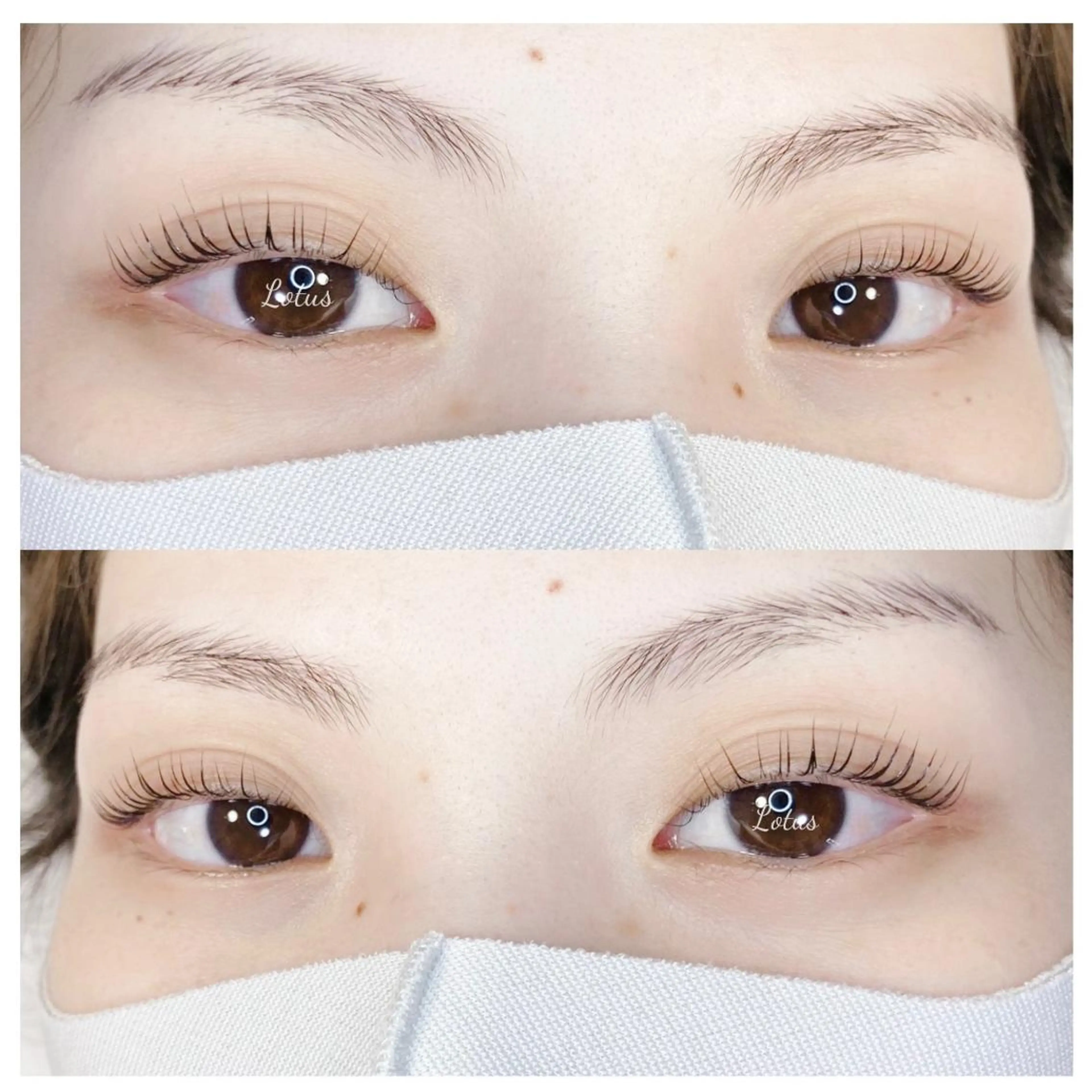 マツエク・マツパ マツパ Lotus ロータスのマツエク・マツパデザイン