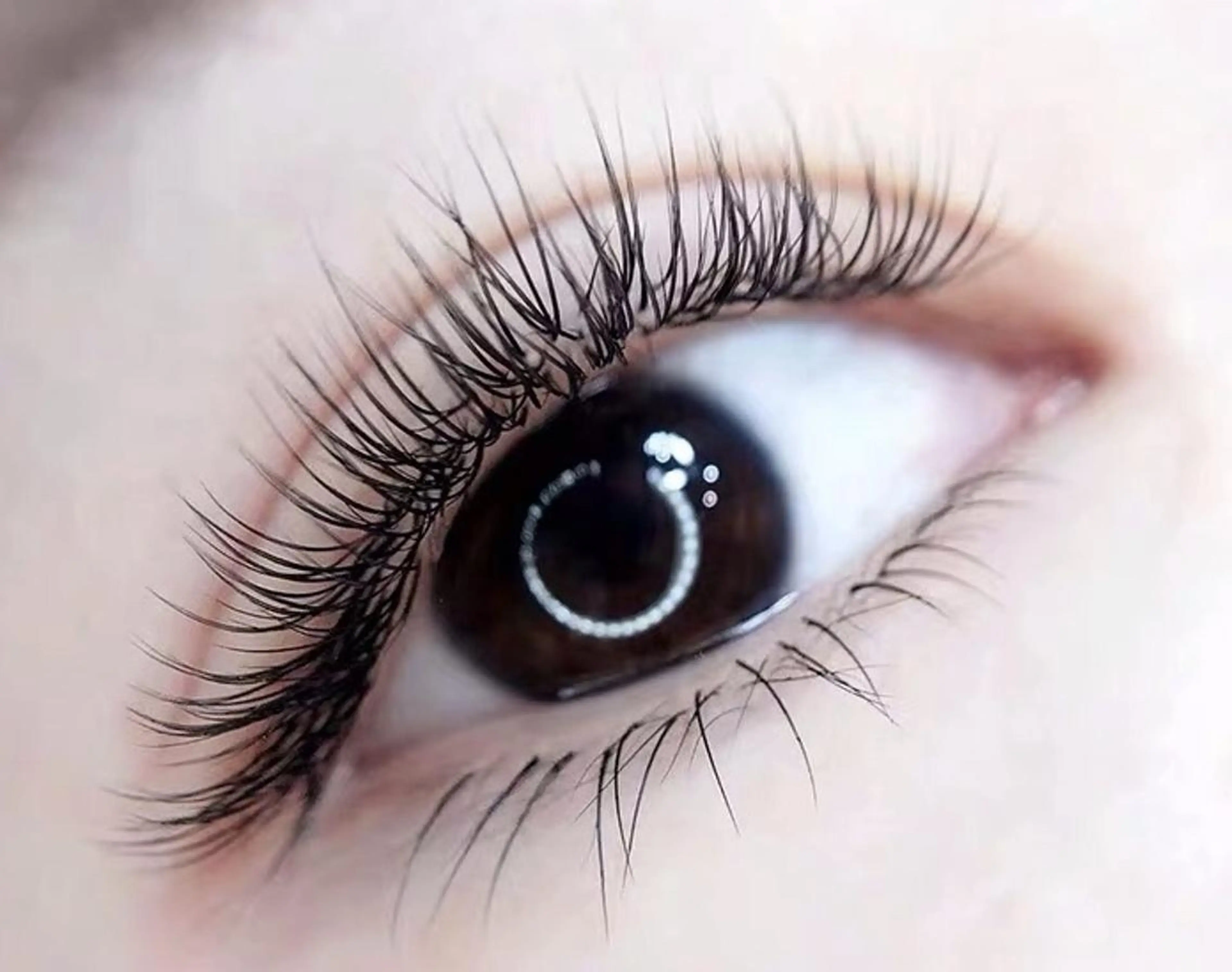 マツエク・マツパ Cute beauty2のマツエク・マツパデザイン