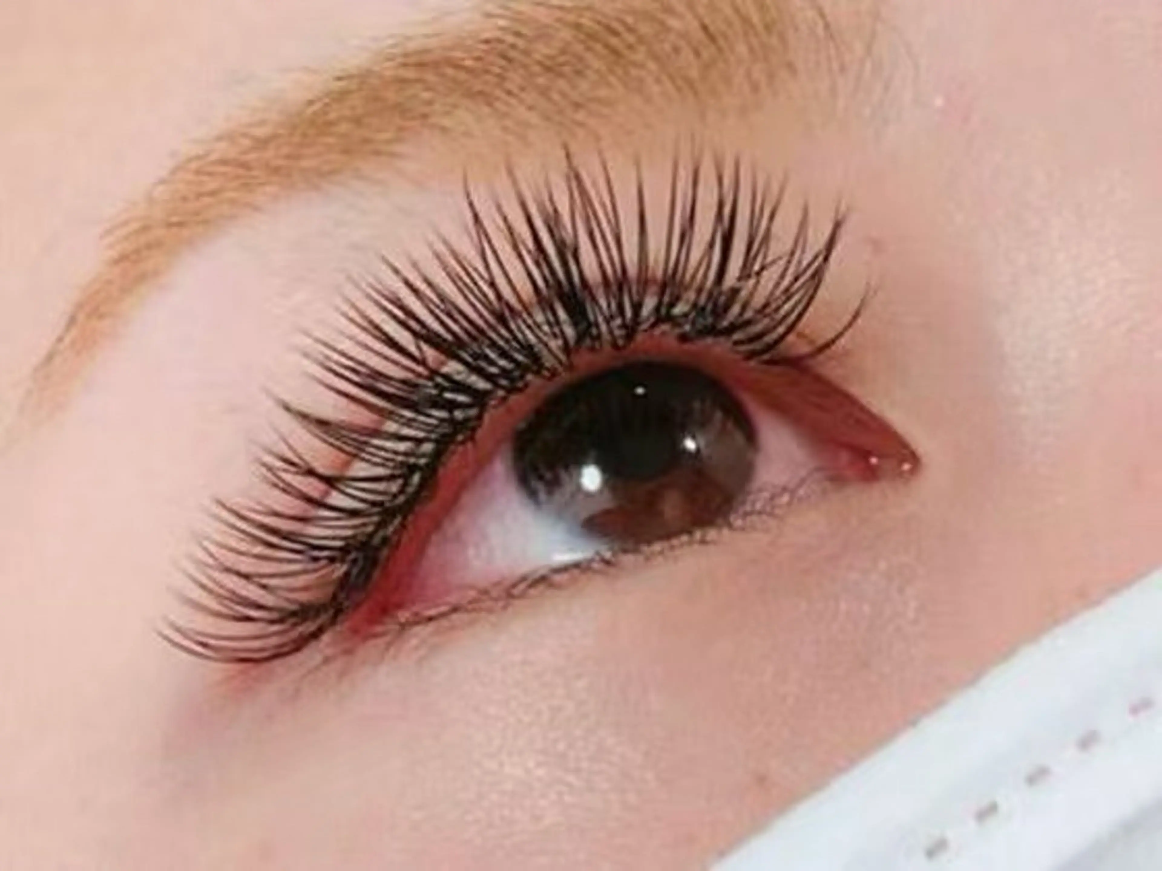 【ボリュムラッシュ束感】話題沸騰⭐️120束までの写真