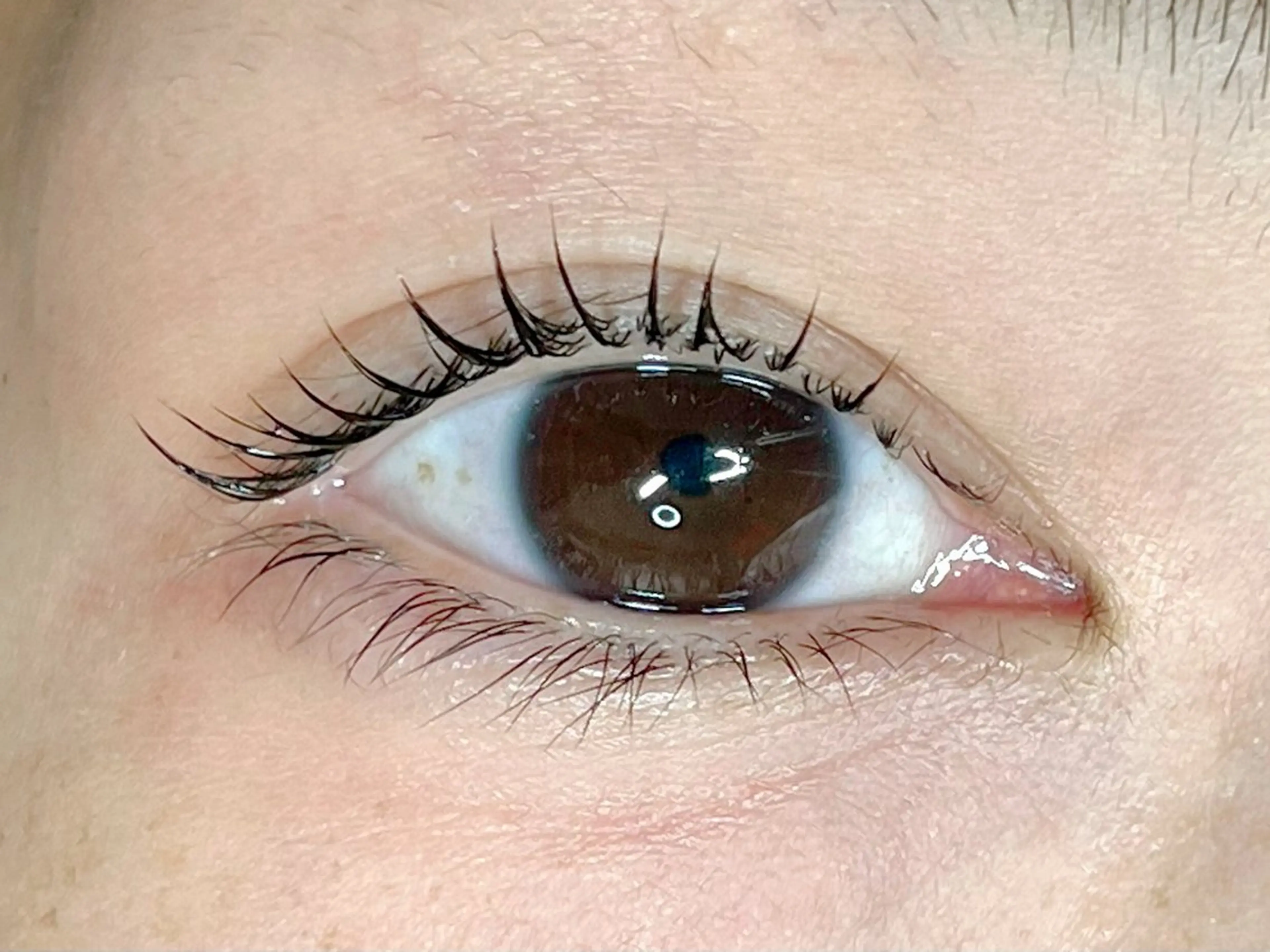 マツエク・マツパ amie ゆまのマツエク・マツパデザイン