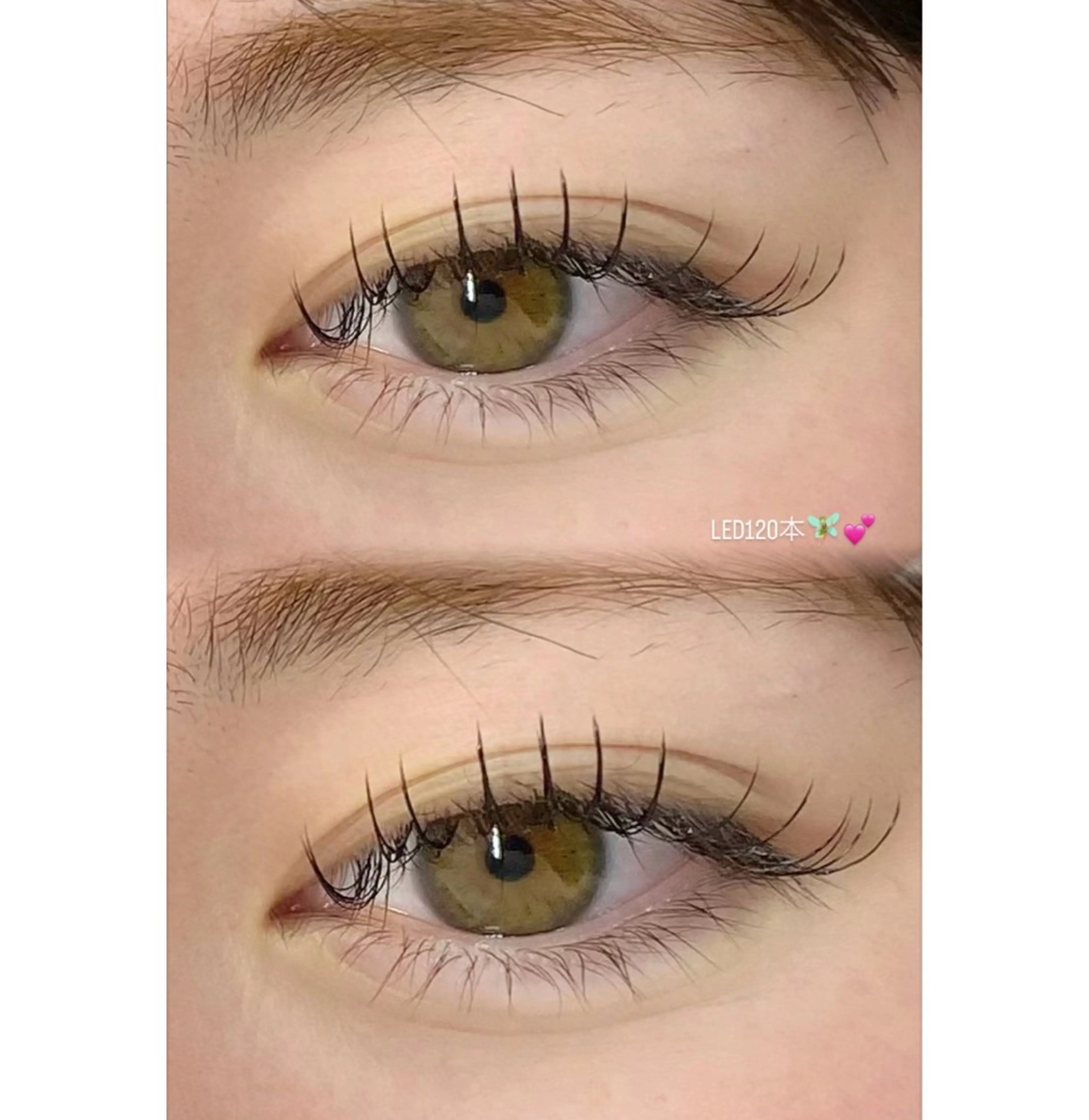 マツエク・マツパ EYELA ⭐️大森のマツエク・マツパデザイン