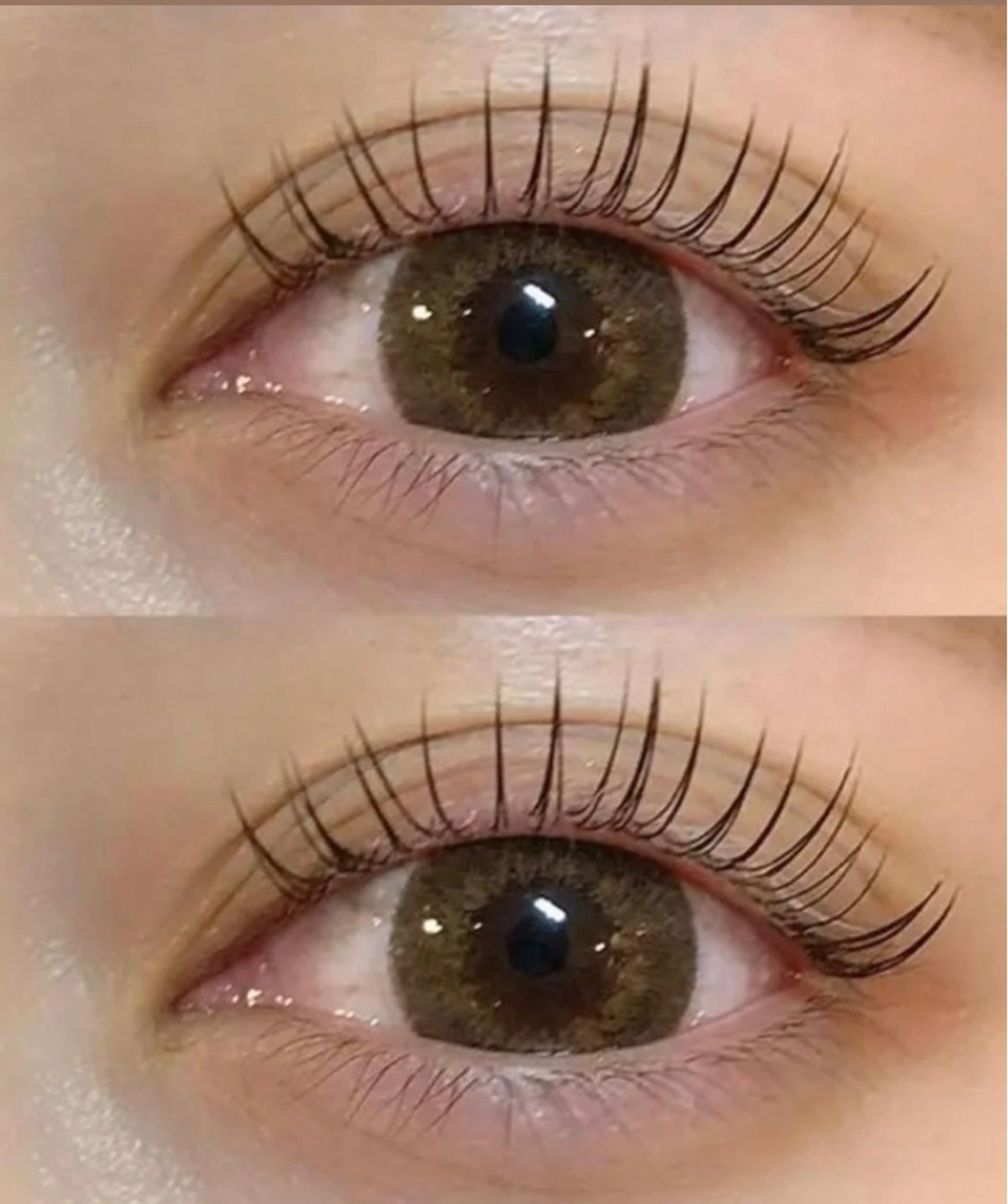 🦩次世代まつげパーマ🦩パリジェンヌラッシュリフト(上) +コーティング🦩の写真