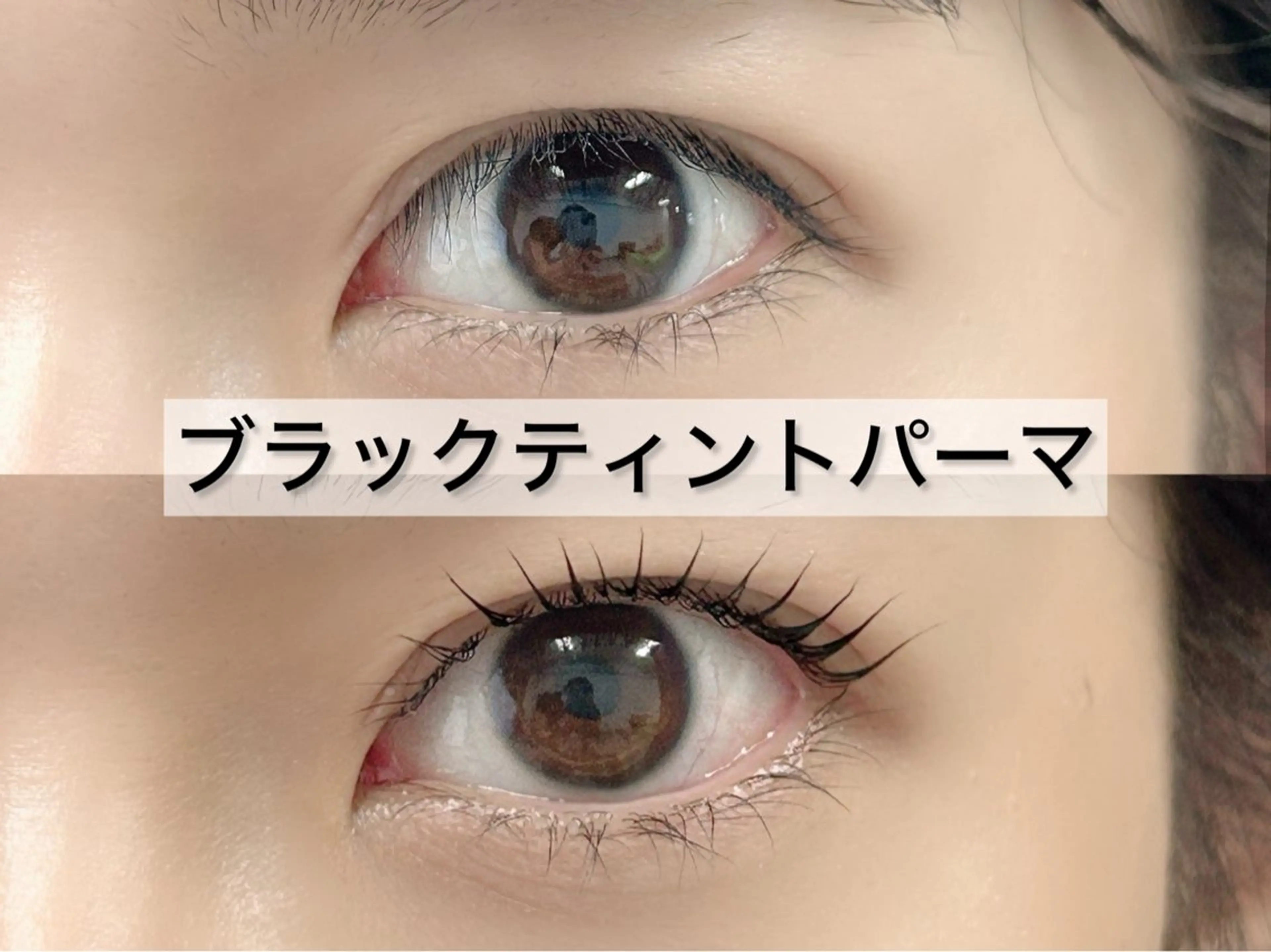 マツエク・マツパ Sein所属・Sein 千代田線 根津駅1分のマツエク・マツパデザイン