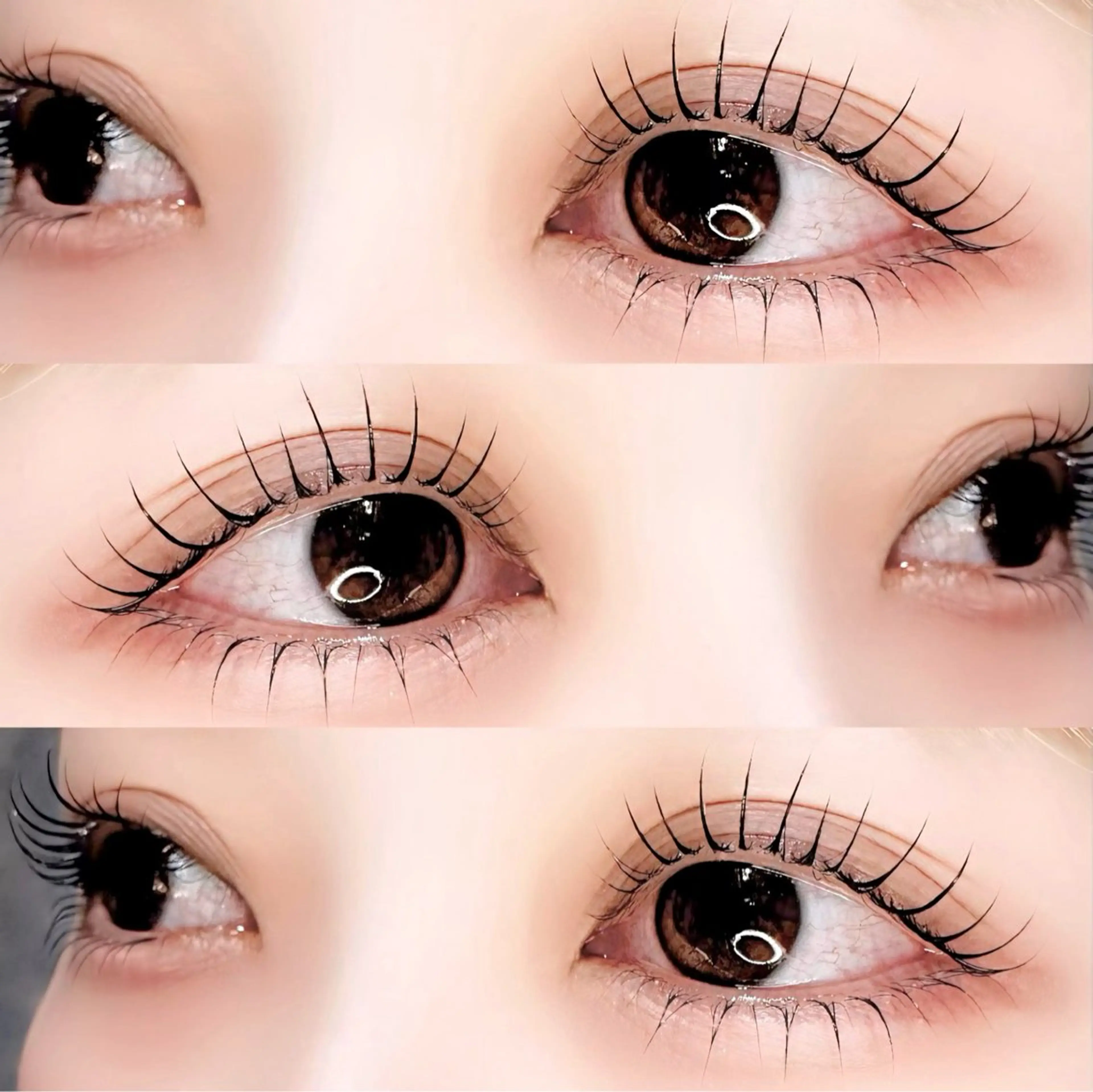 人気No.1⟡.·💞パリジェンヌorラッシュリフト💞の写真