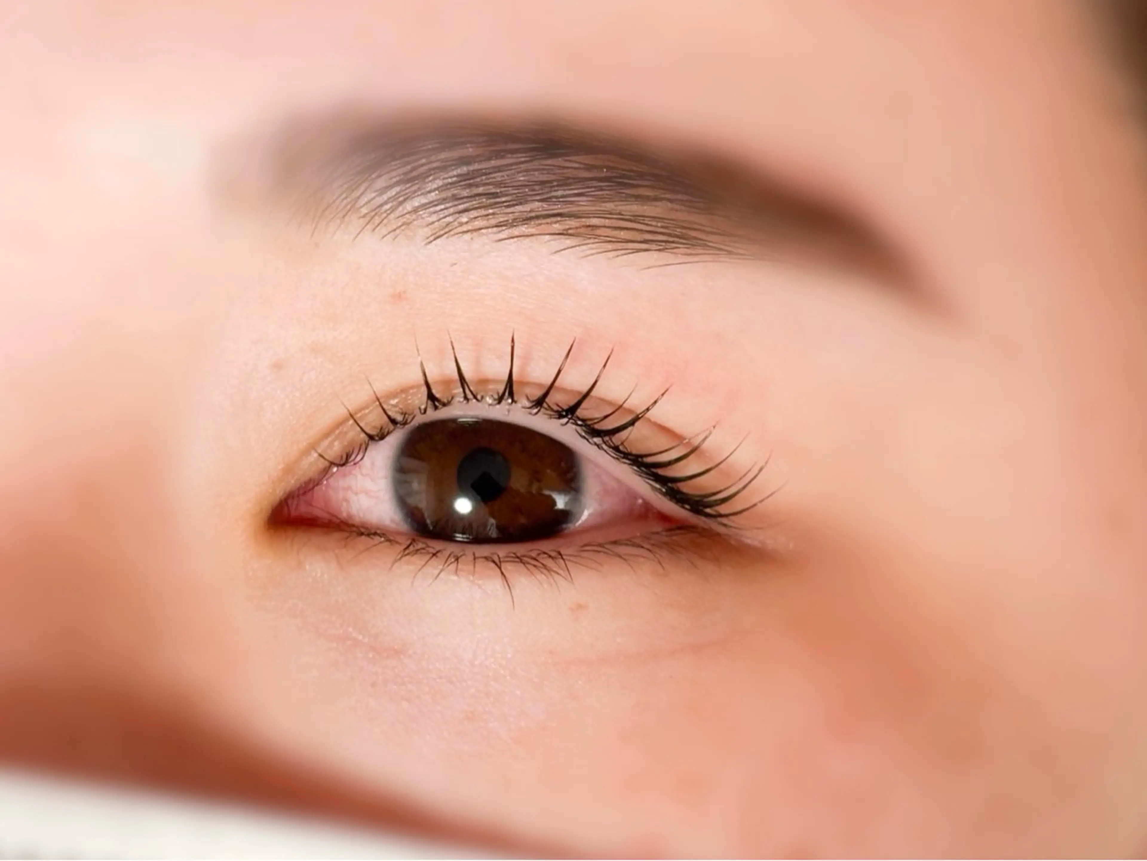 まつ毛パーマモデル募集✨の写真