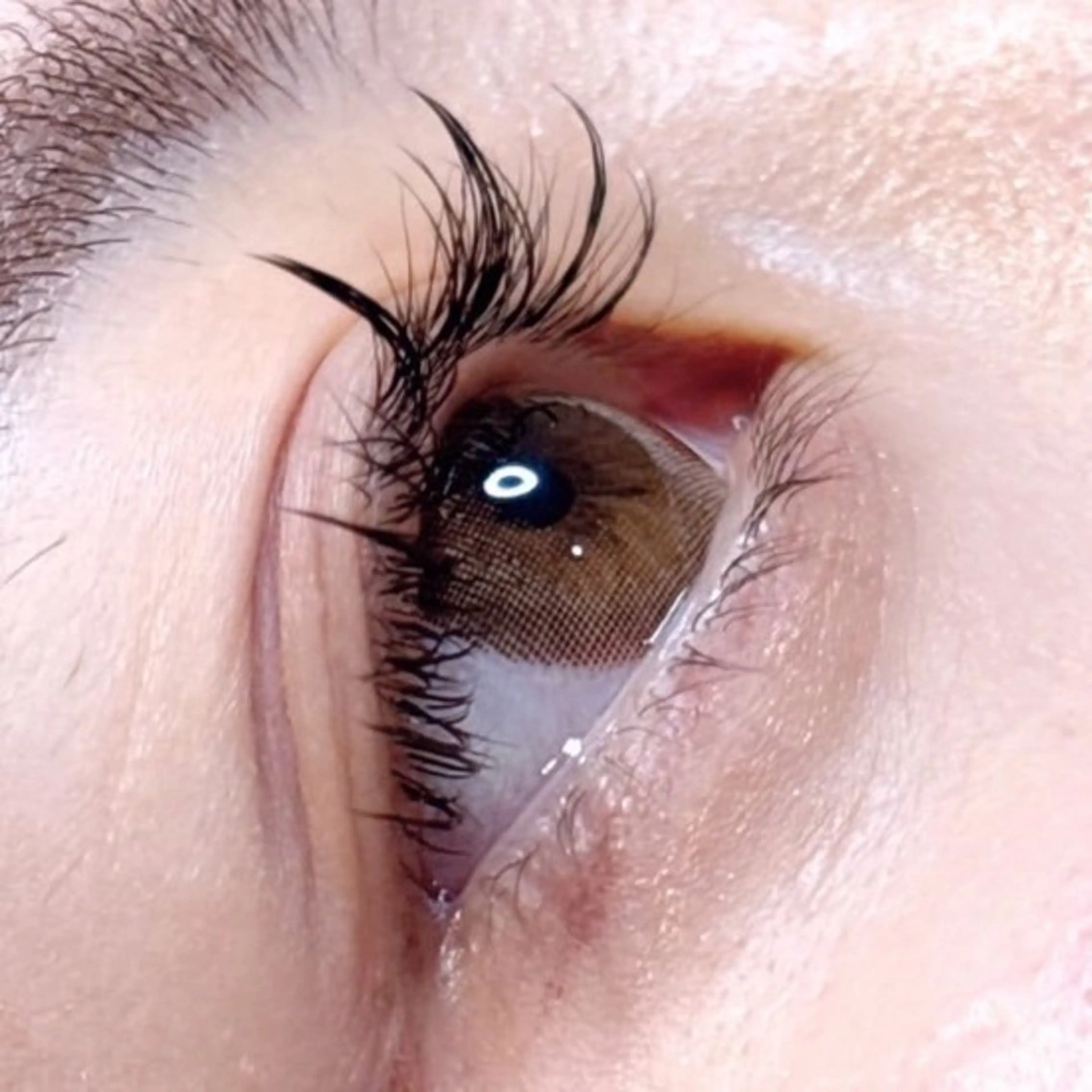 マツエク・マツパ マツエク 🎀韓国風 パリエク特化🎀りほのマツエク・マツパデザイン