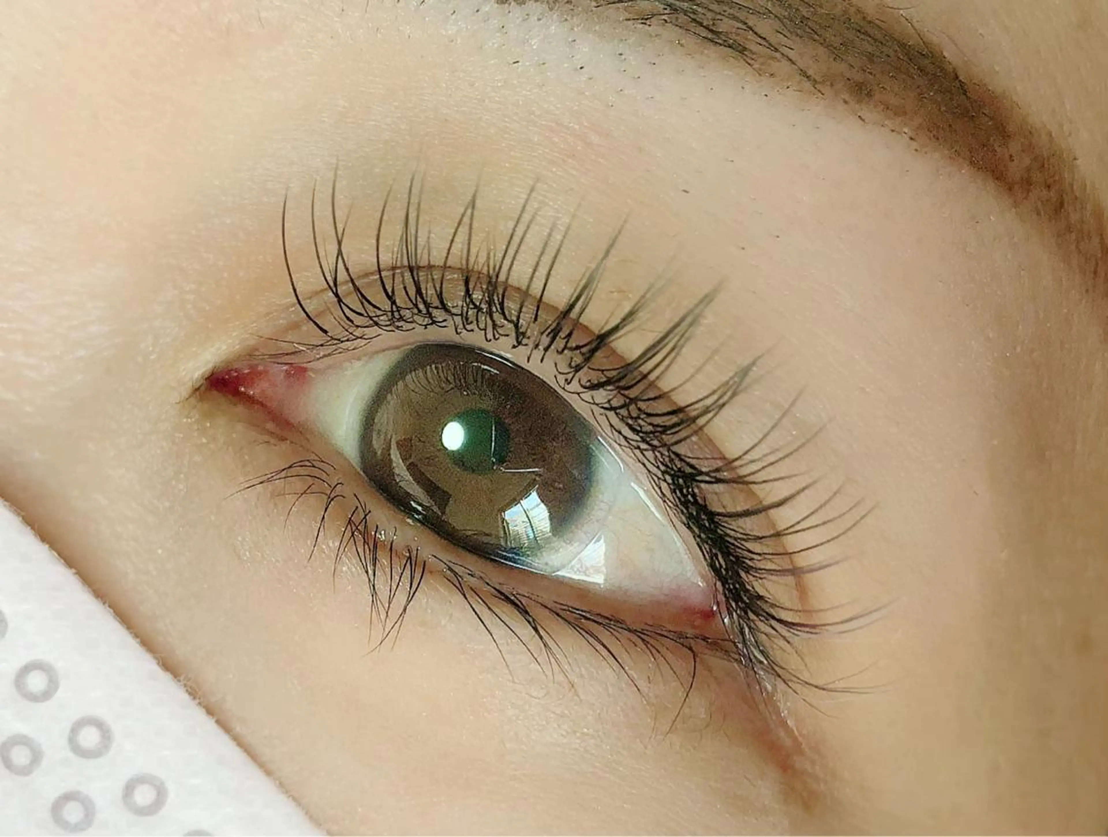 カラー マツエク・マツパ K&E lashe /大垣　まつ毛、眉毛のマツエク・マツパデザイン