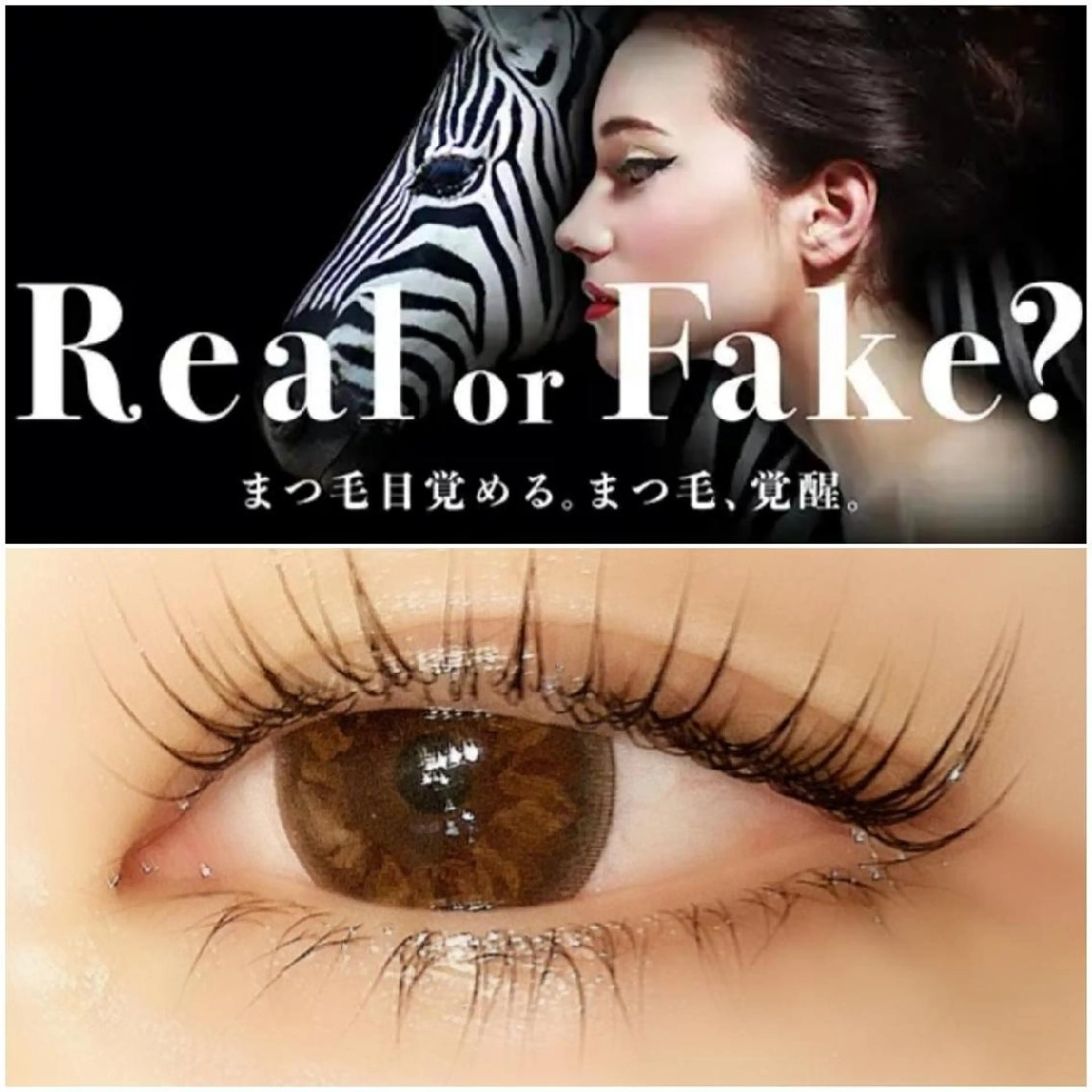 ★ラッシュアディクトサロンケア＋パリジェンヌラッシュリフトの写真