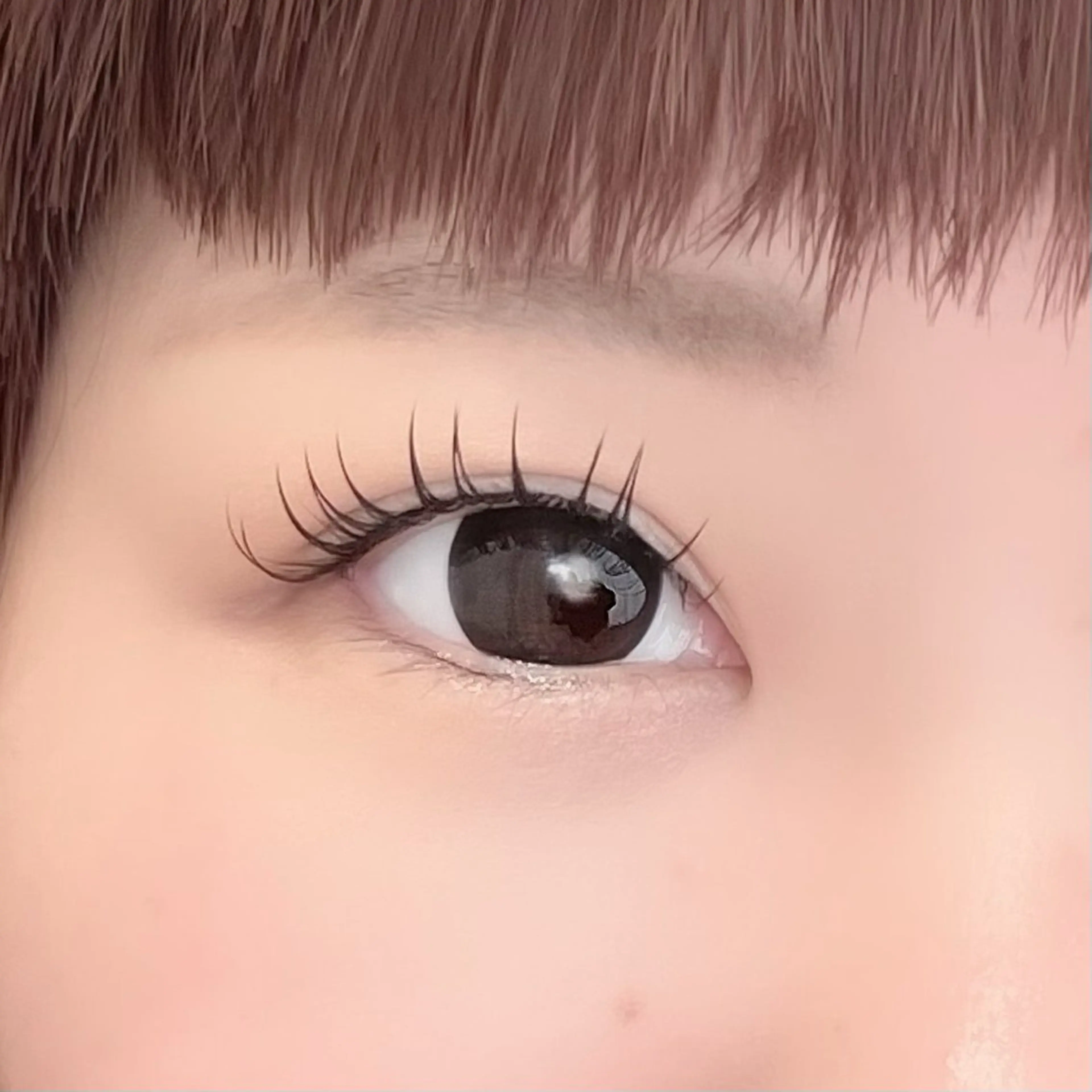マツエク・マツパ マツエク eyelash___ hashimotoのマツエク・マツパデザイン