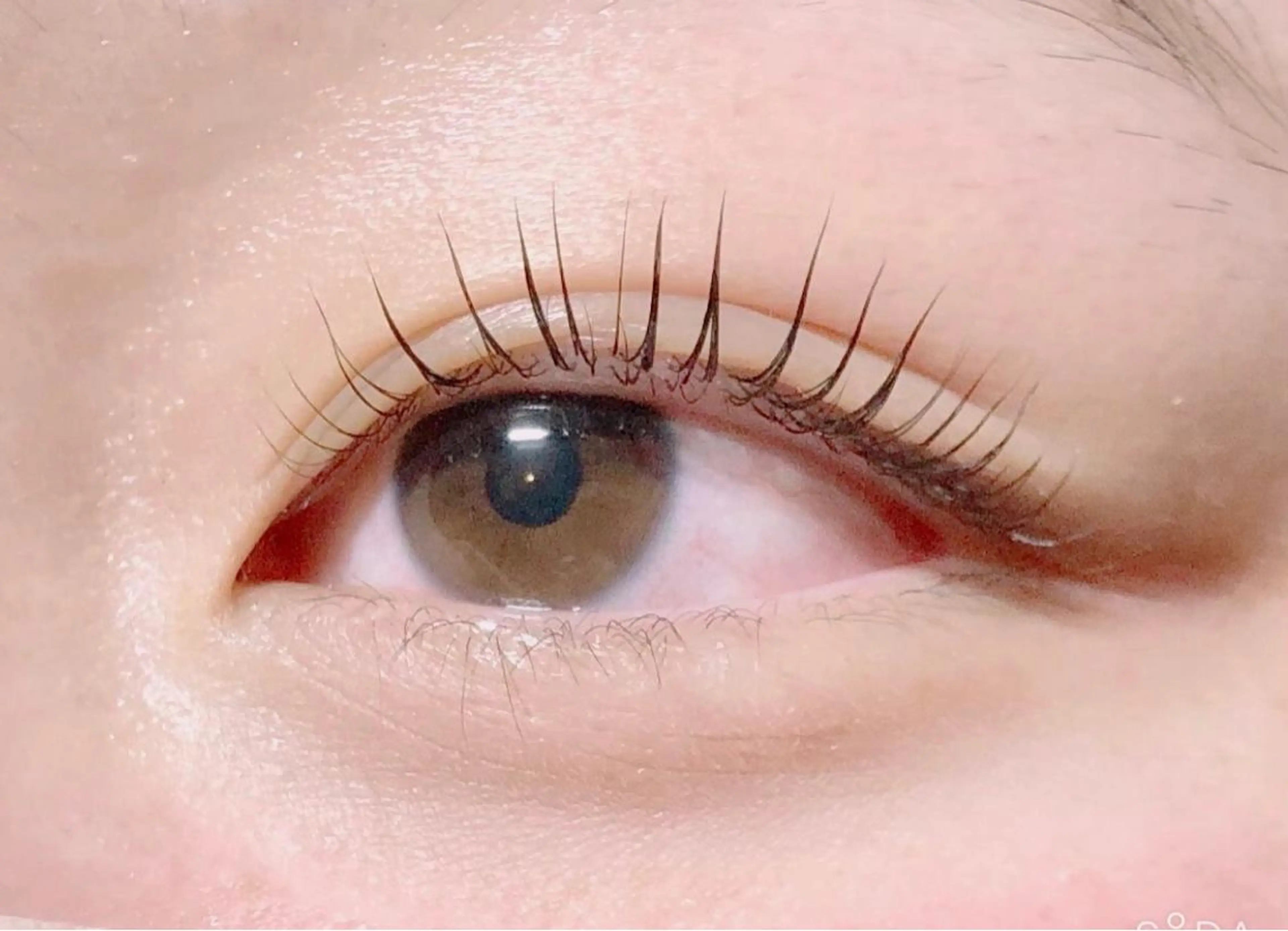 マツエク・マツパ ANELA【アネラ】 本多のマツエク・マツパデザイン