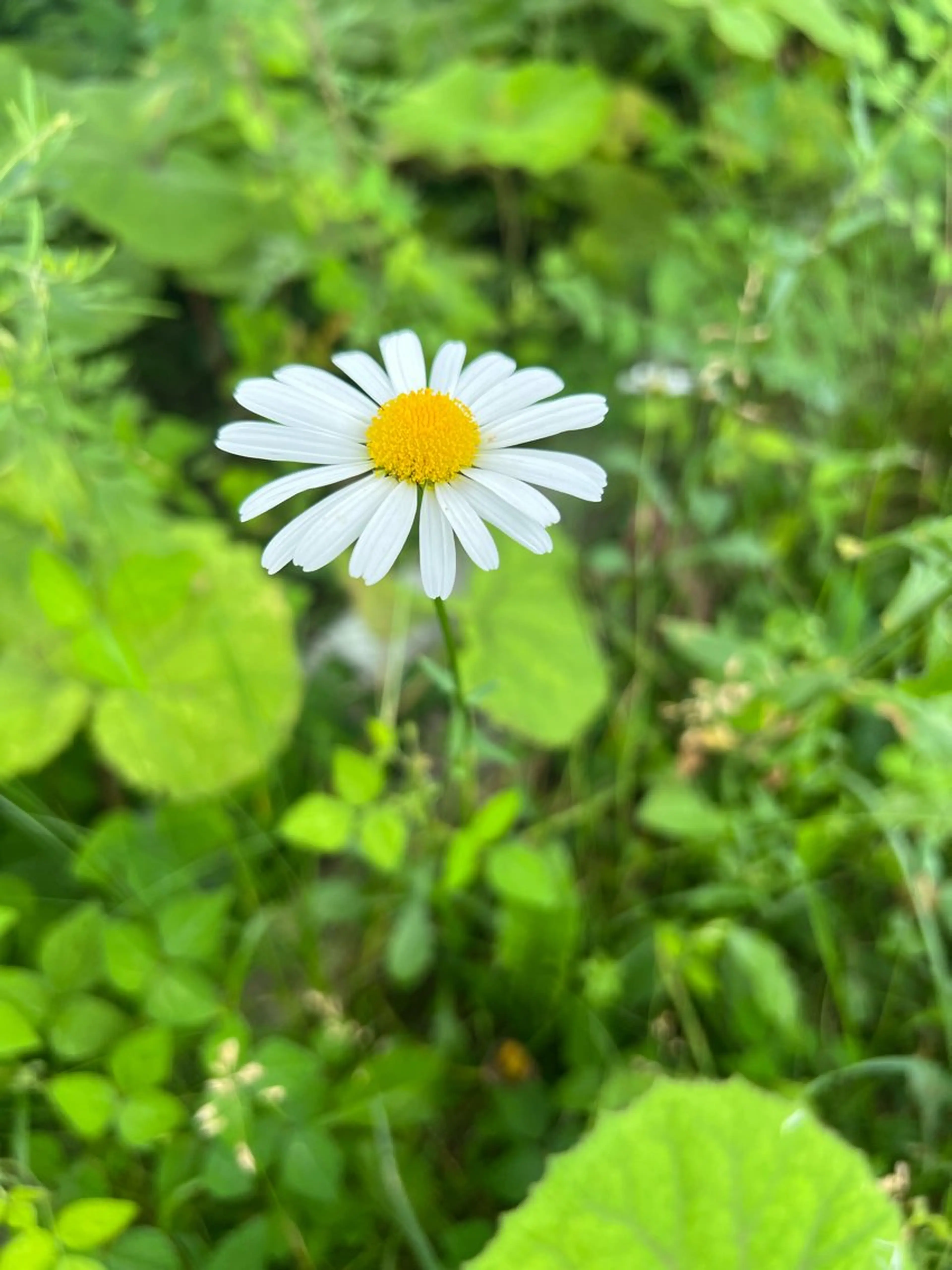 メンズ ネイル ハンドネイル ヘアメイクネイリスト 💄💅hidemiのヘアスタイル