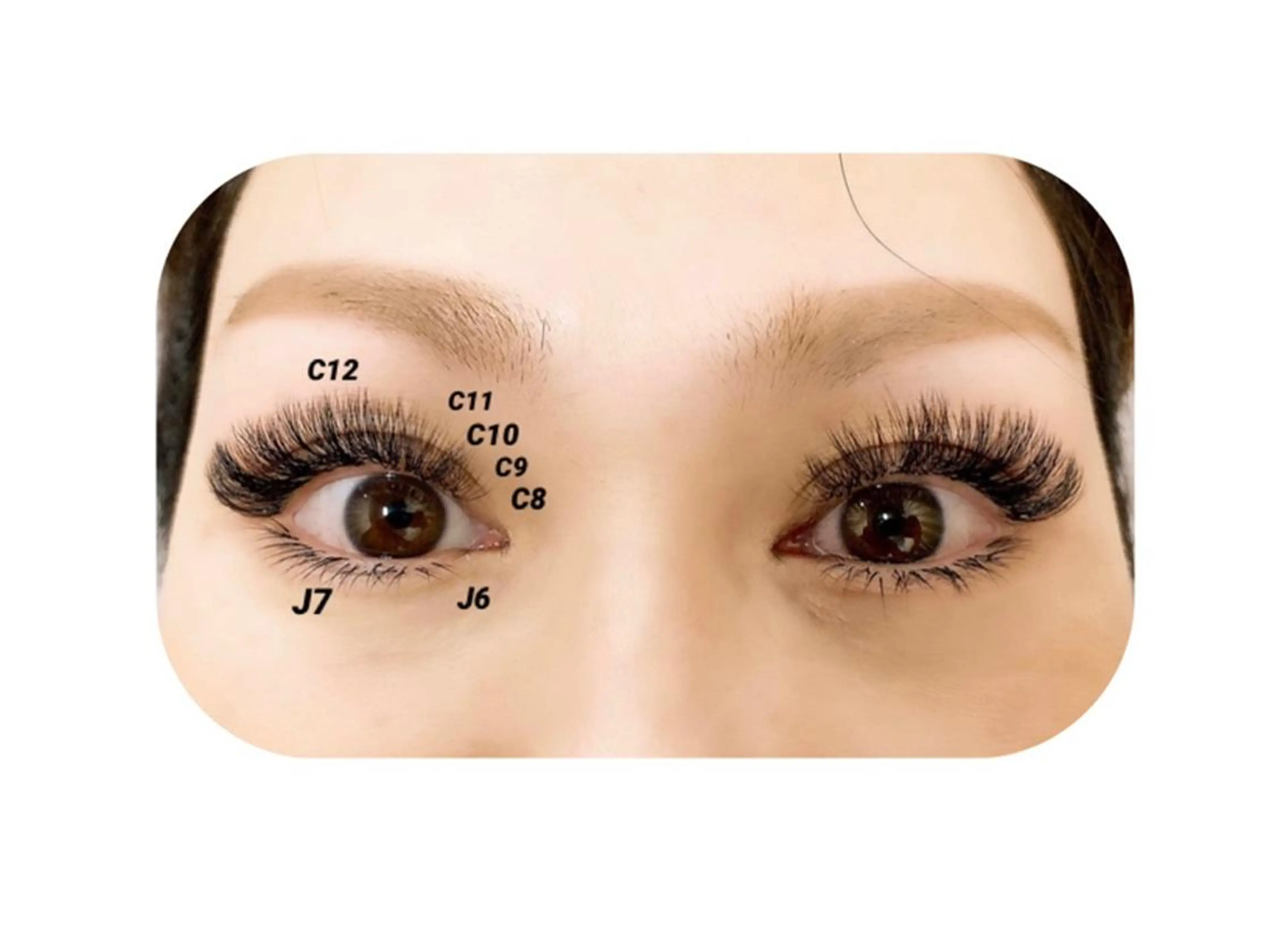 マツエク・マツパ iolo nakajimaのマツエク・マツパデザイン