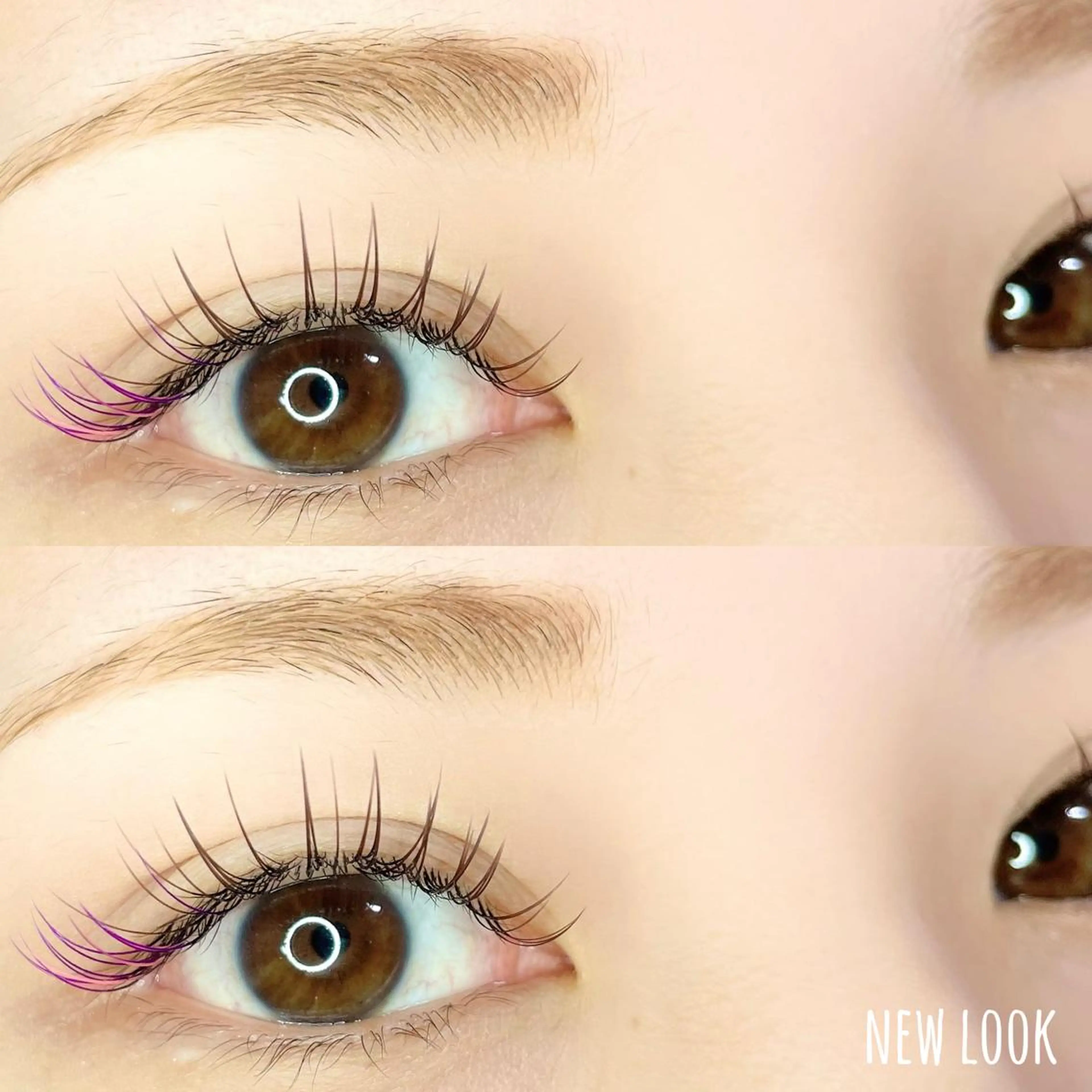 マツエク・マツパ カラーマツエク NEW LOOKのマツエク・マツパデザイン