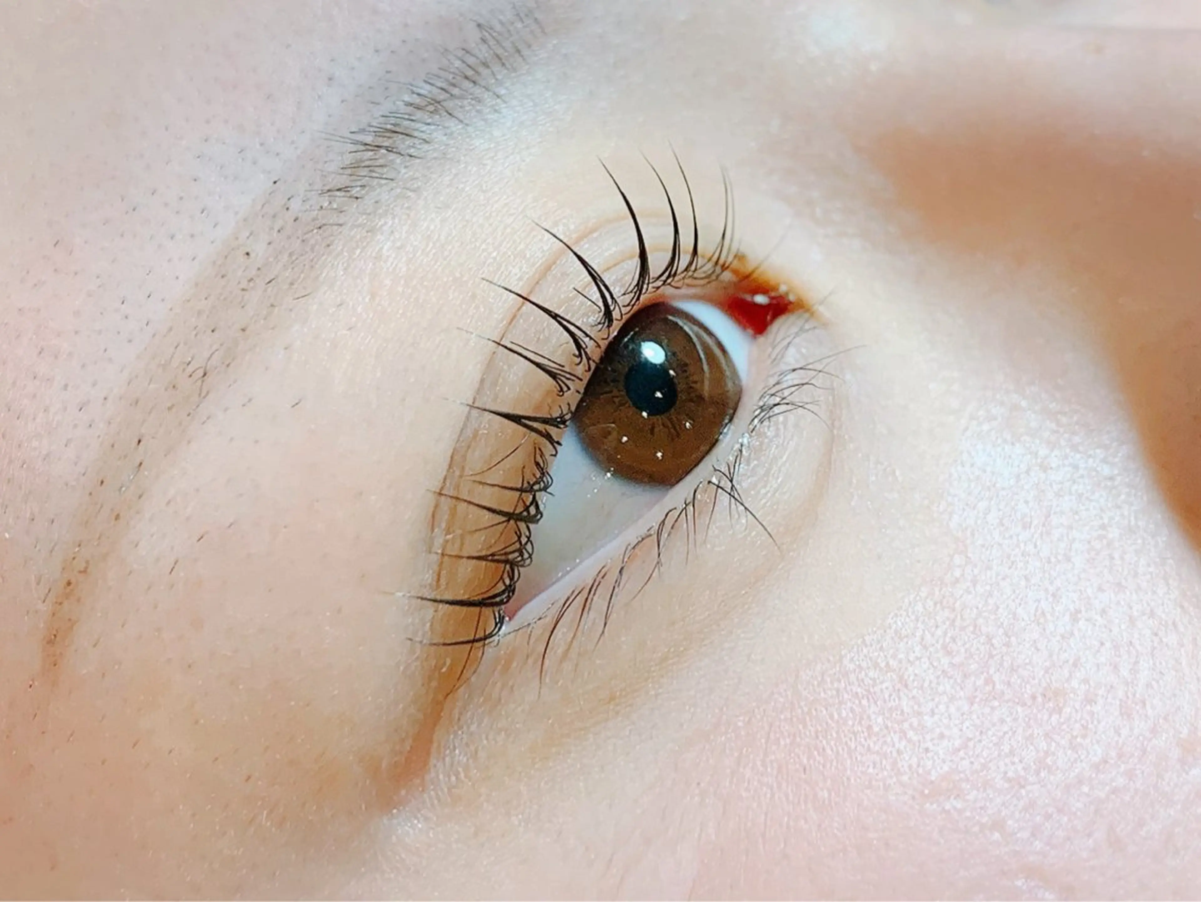 マツエク・マツパ マツパ Victoire スタイルのマツエク・マツパデザイン