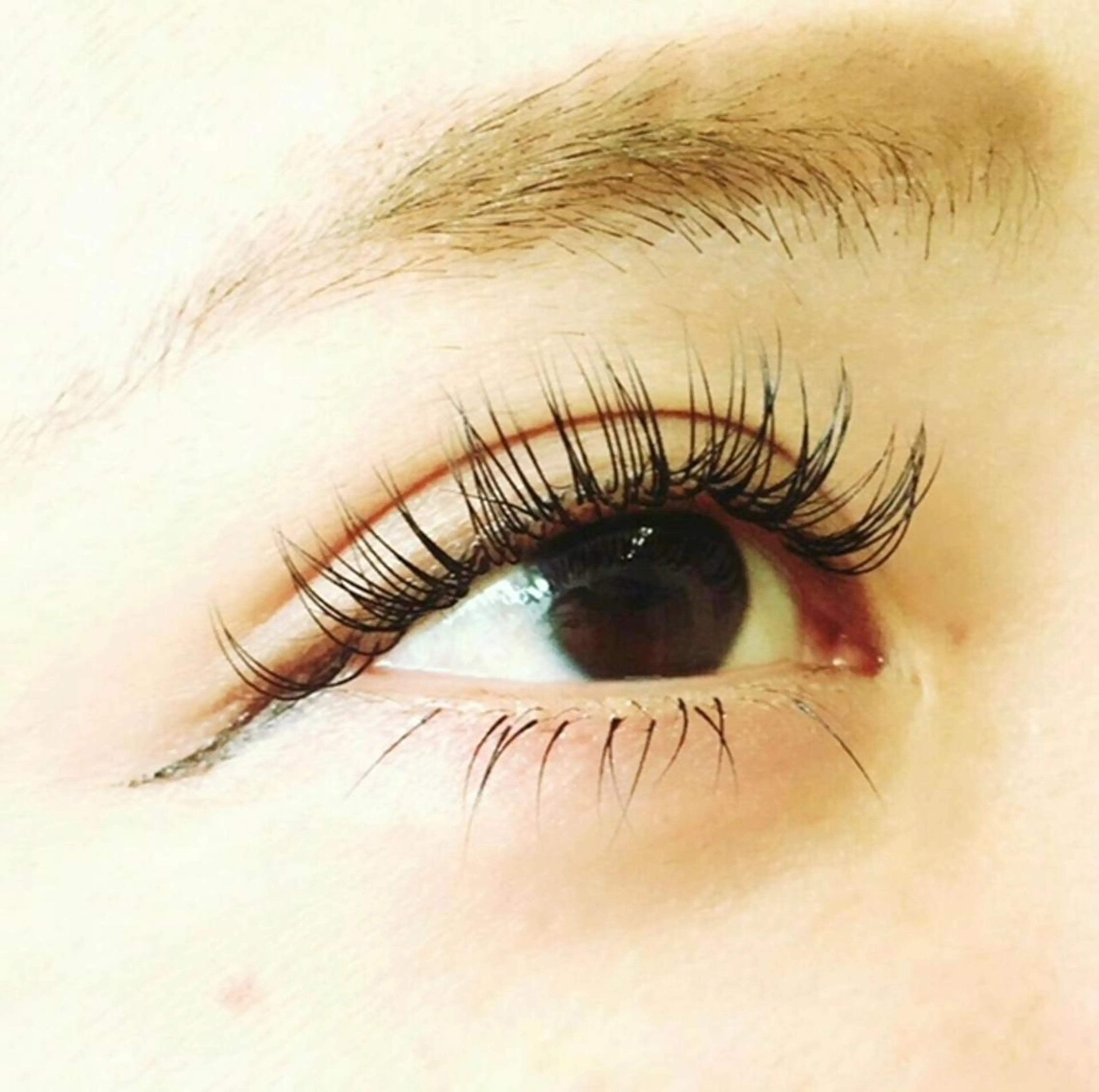 マツエク・マツパ アップワードラッシュ sekimizu eyelash 横浜のマツエク・マツパデザイン