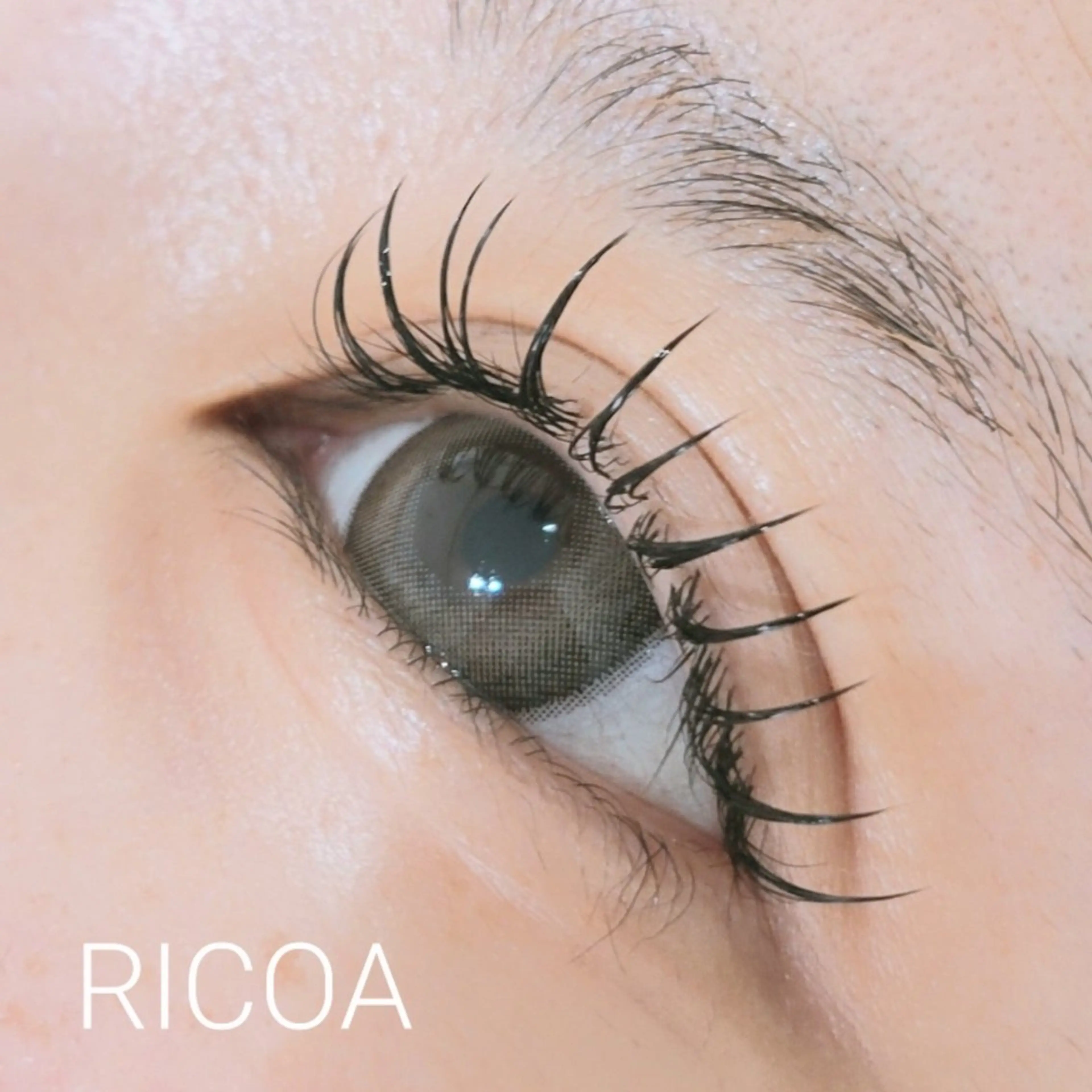 マツエク・マツパ フラットラッシュ マツエク RICOA 酒井のマツエク・マツパデザイン