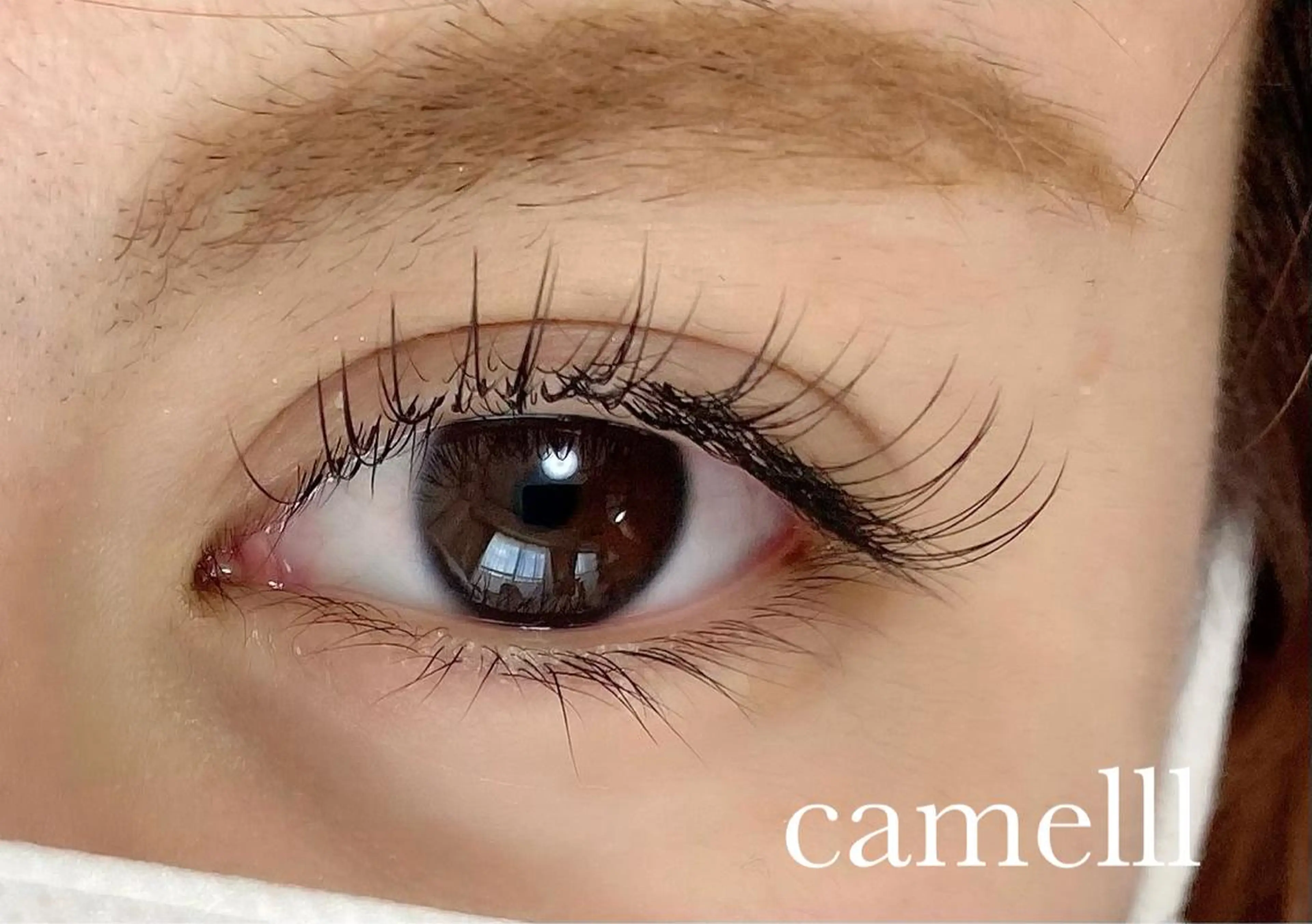 マツエク・マツパ マツエク 【那覇/束感まつ毛 /LED】キャメルのマツエク・マツパデザイン