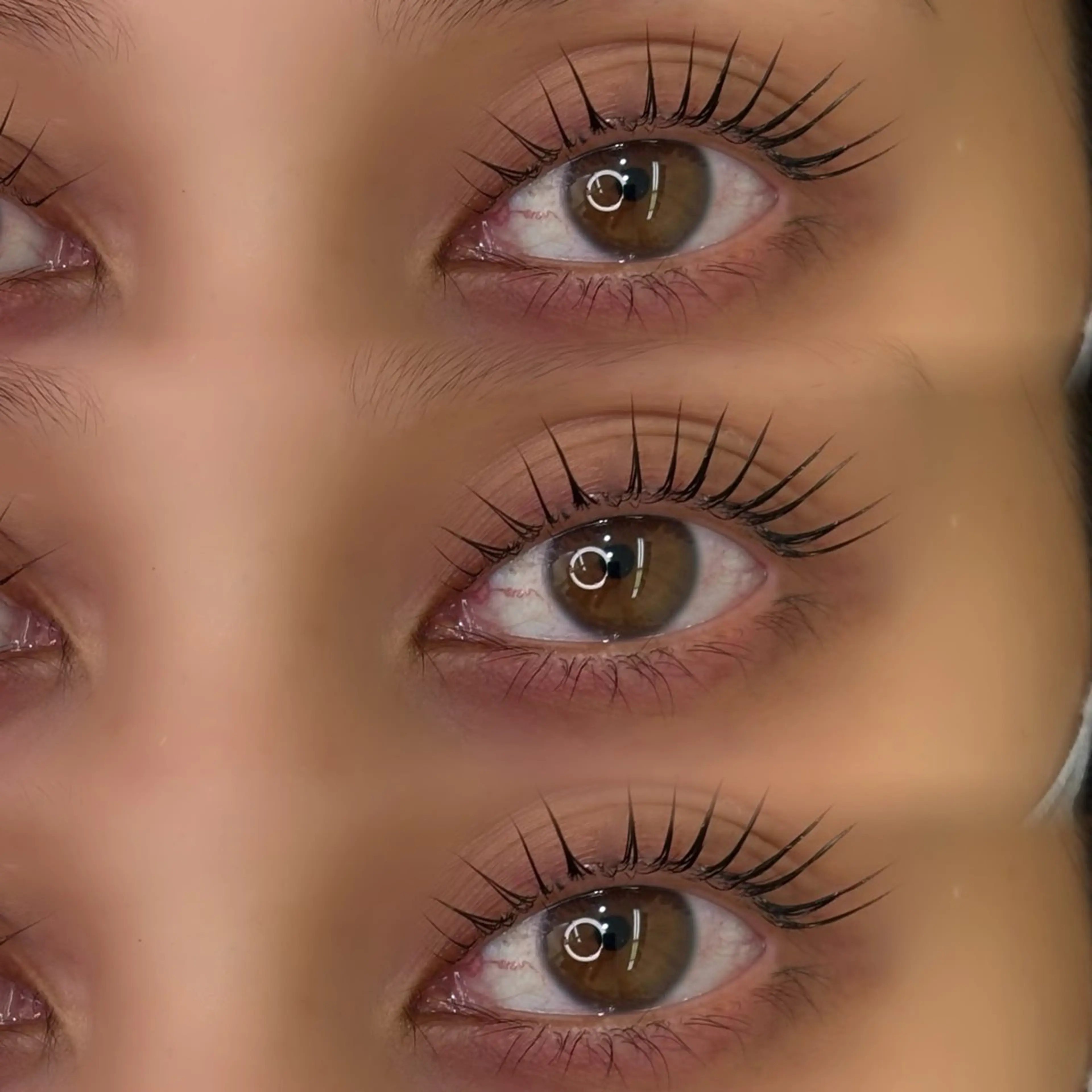 【🧚迷ったらコレ🧚】選べるまつ毛パーマorパリジェンヌ✨束感コーティング仕上げ付き✨の写真