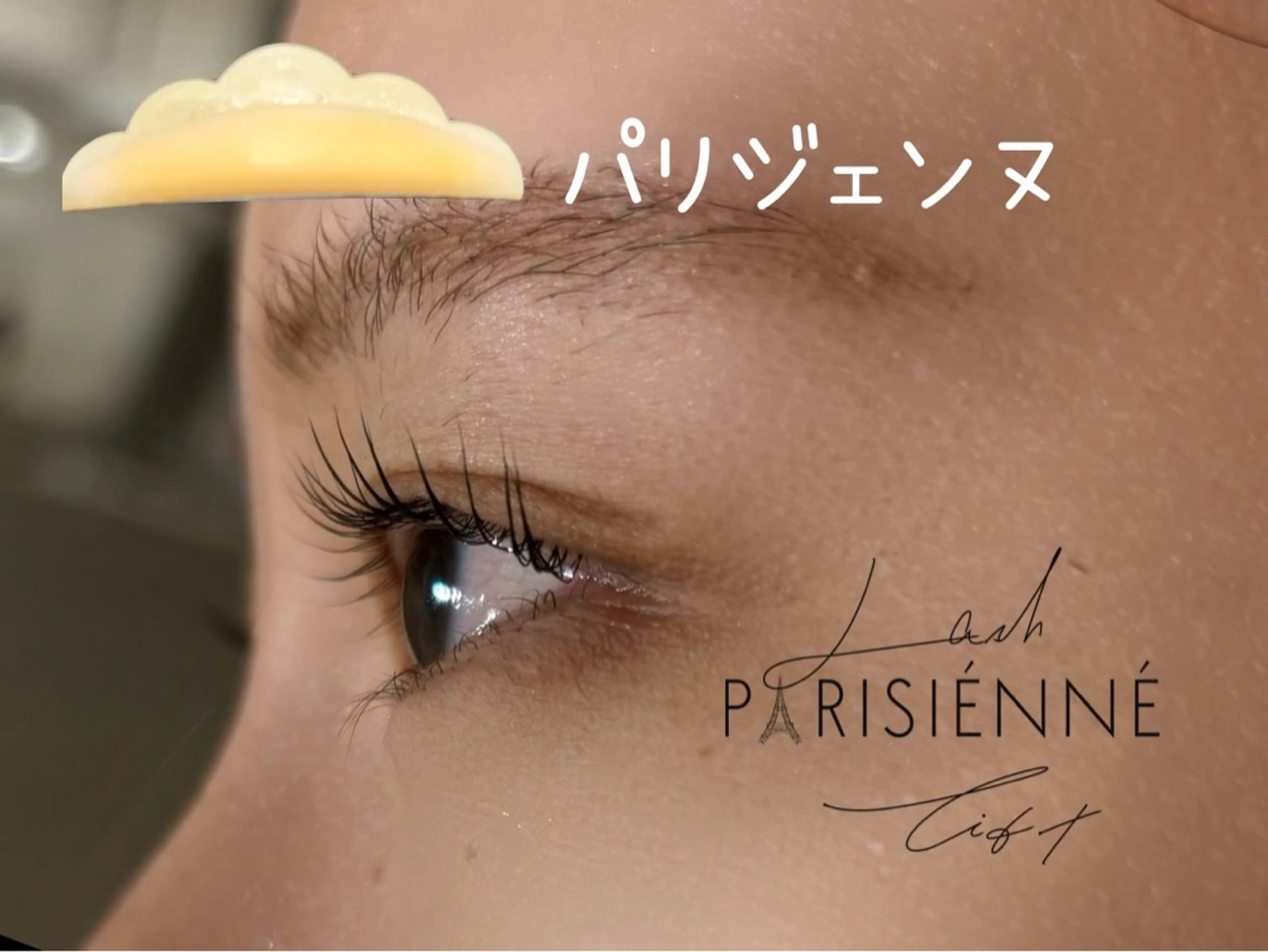 パリジェンヌ 上下の写真