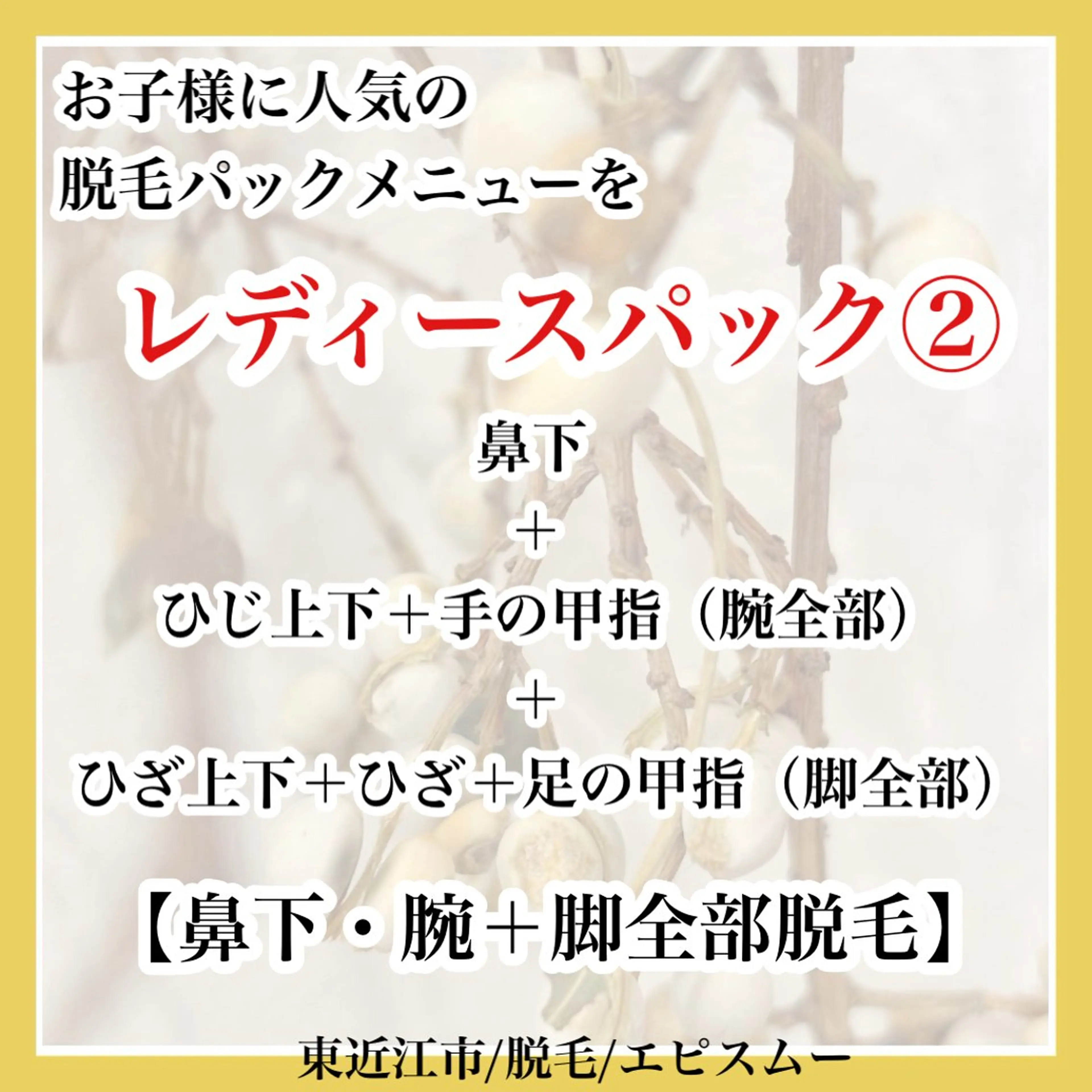 epismoo 脱毛/HBL/毛穴の眉毛・アイブロウイメージ