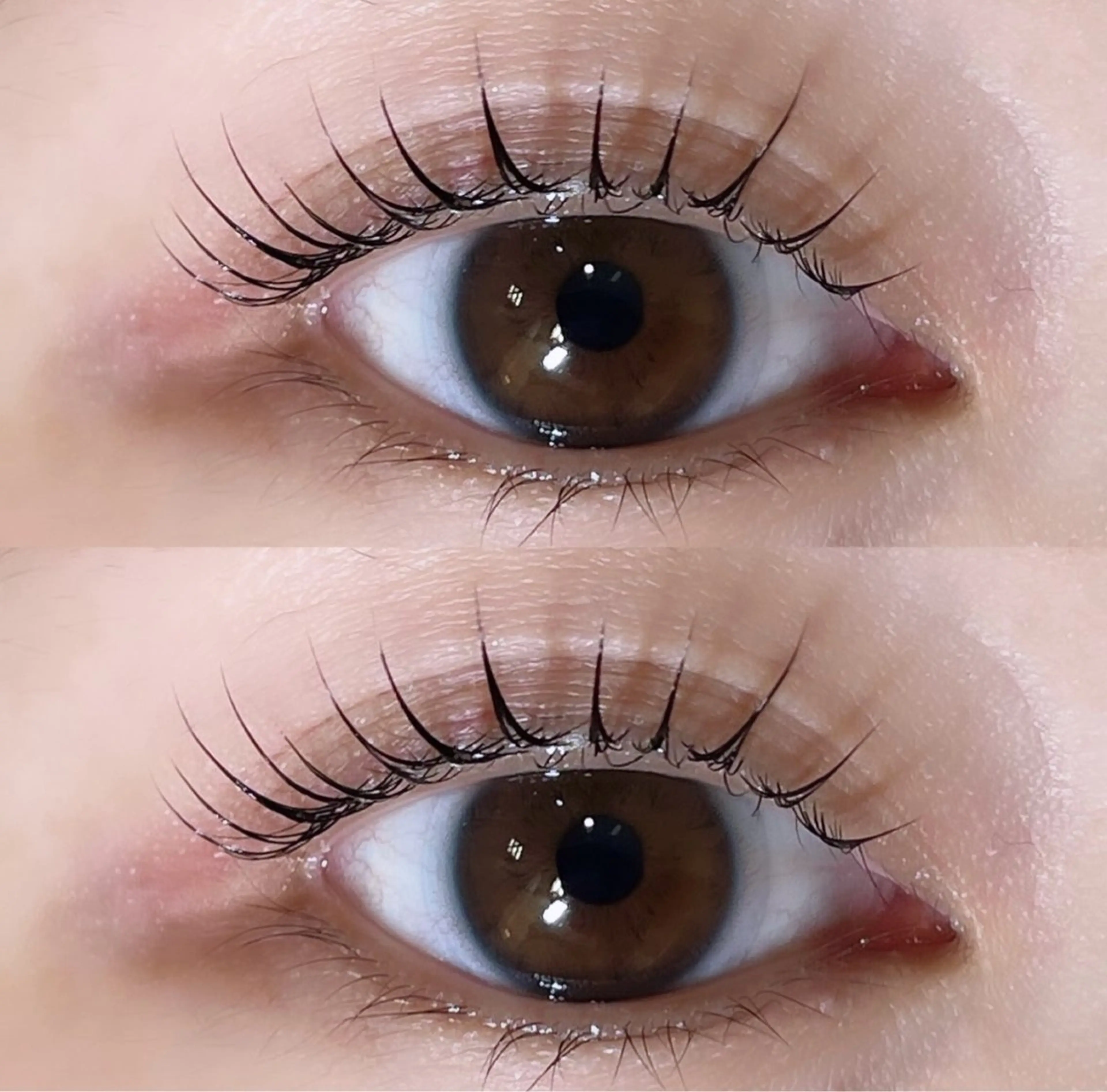 パリジェンヌラッシュリフト(コーティング込)の写真