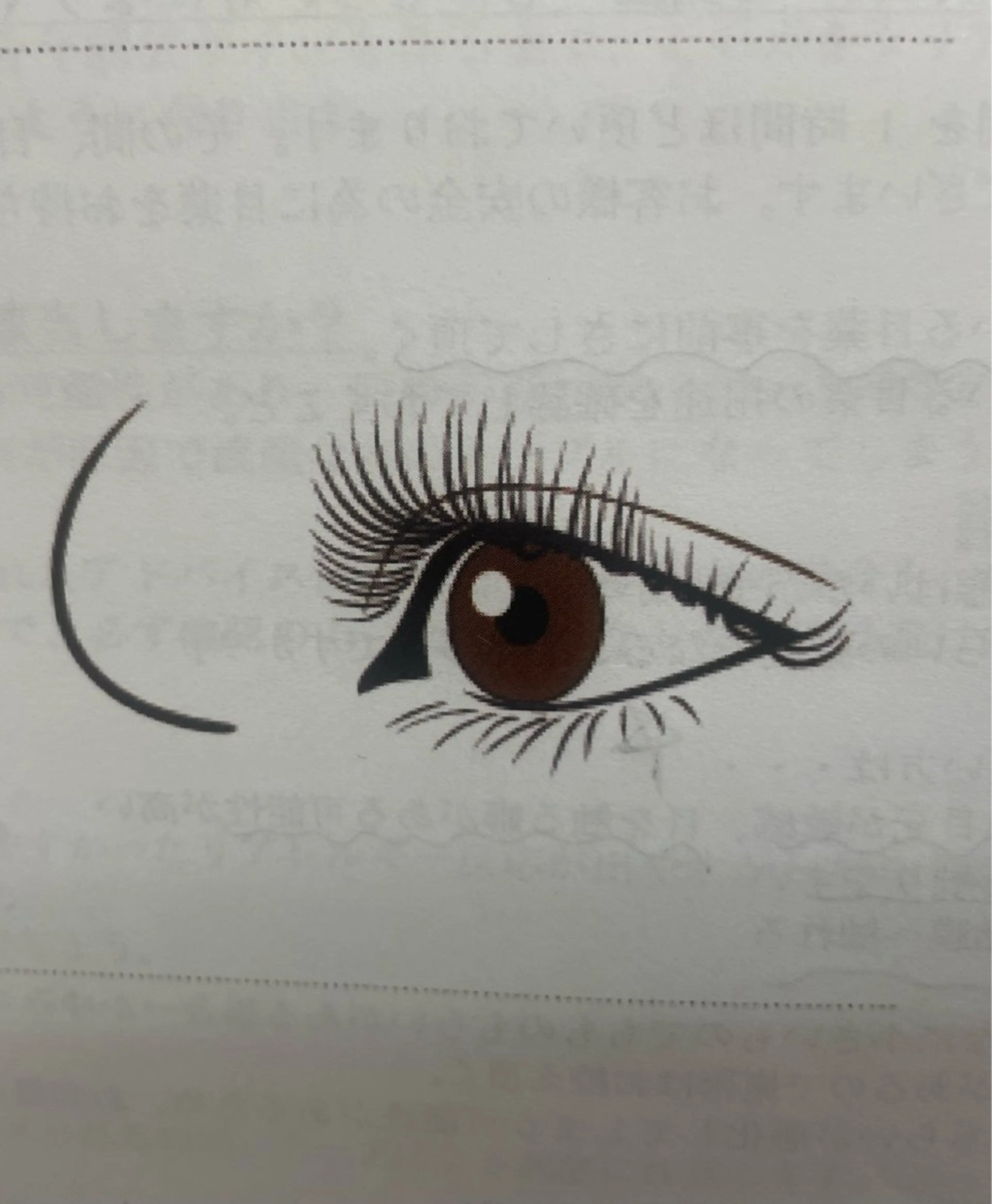 マツエク・マツパ 🎀あ み🎀の眉毛・アイブロウイメージ