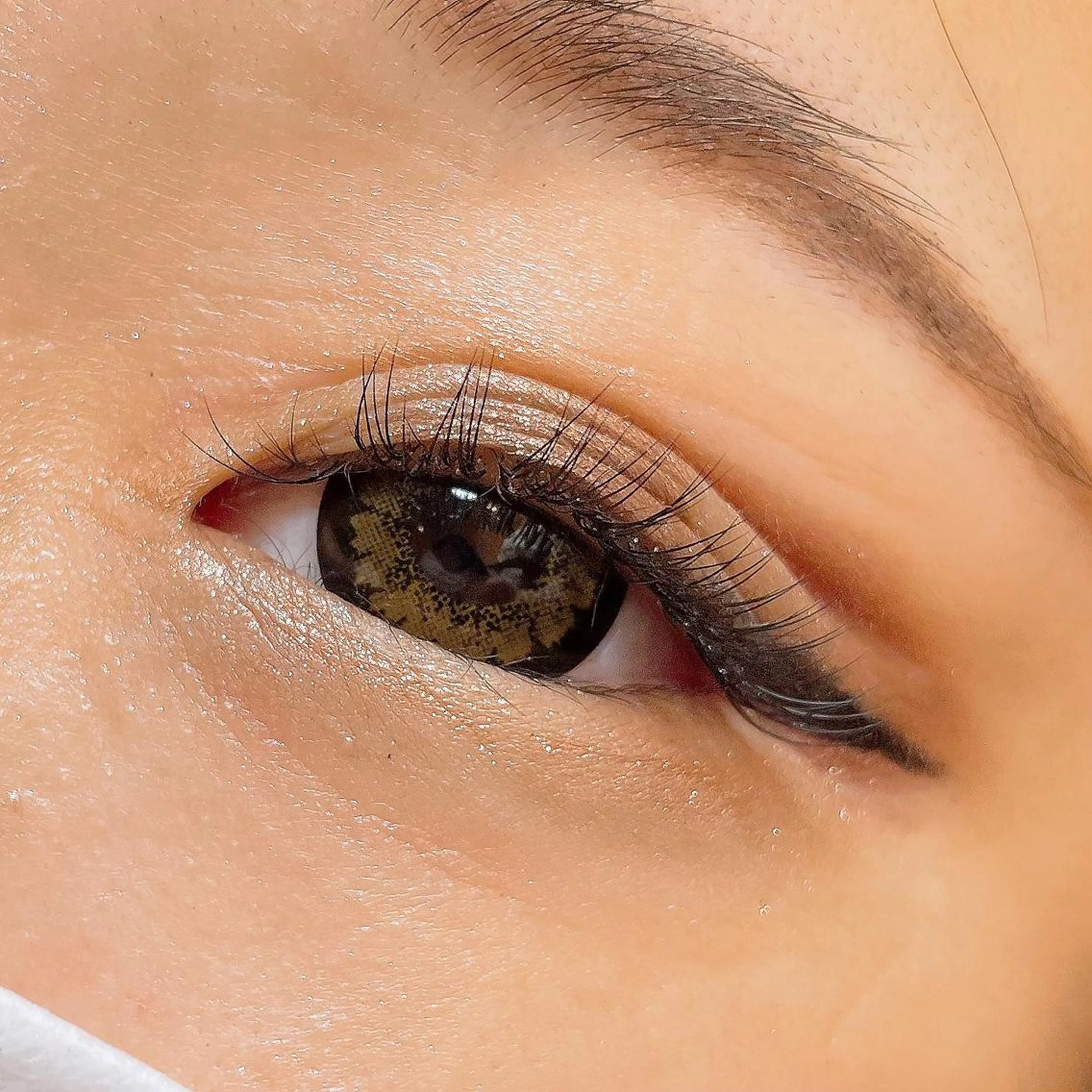 マツエク・マツパ ナチュラル 玉木 愛の眉毛・アイブロウイメージ