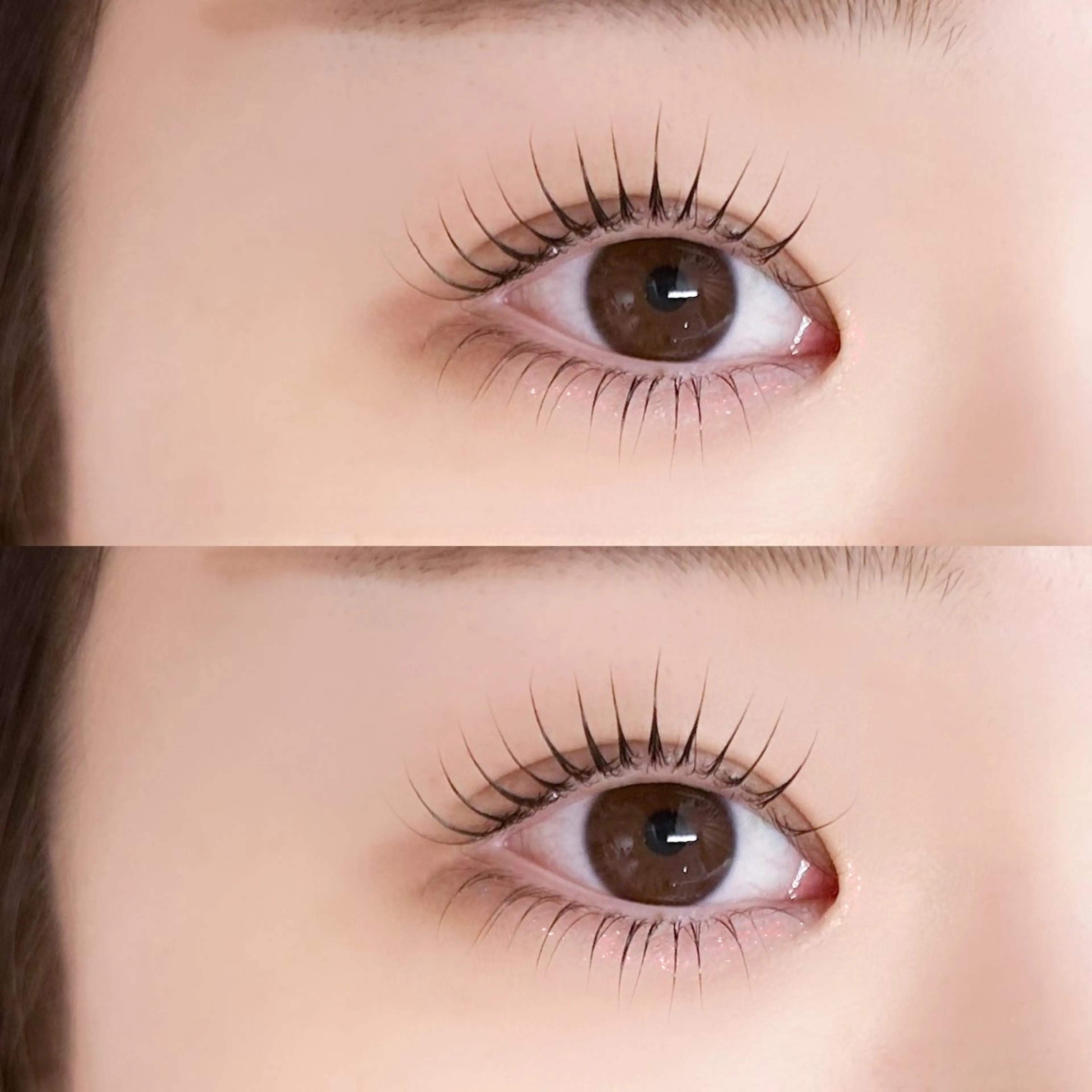 🪽上下パーマ🪽の写真