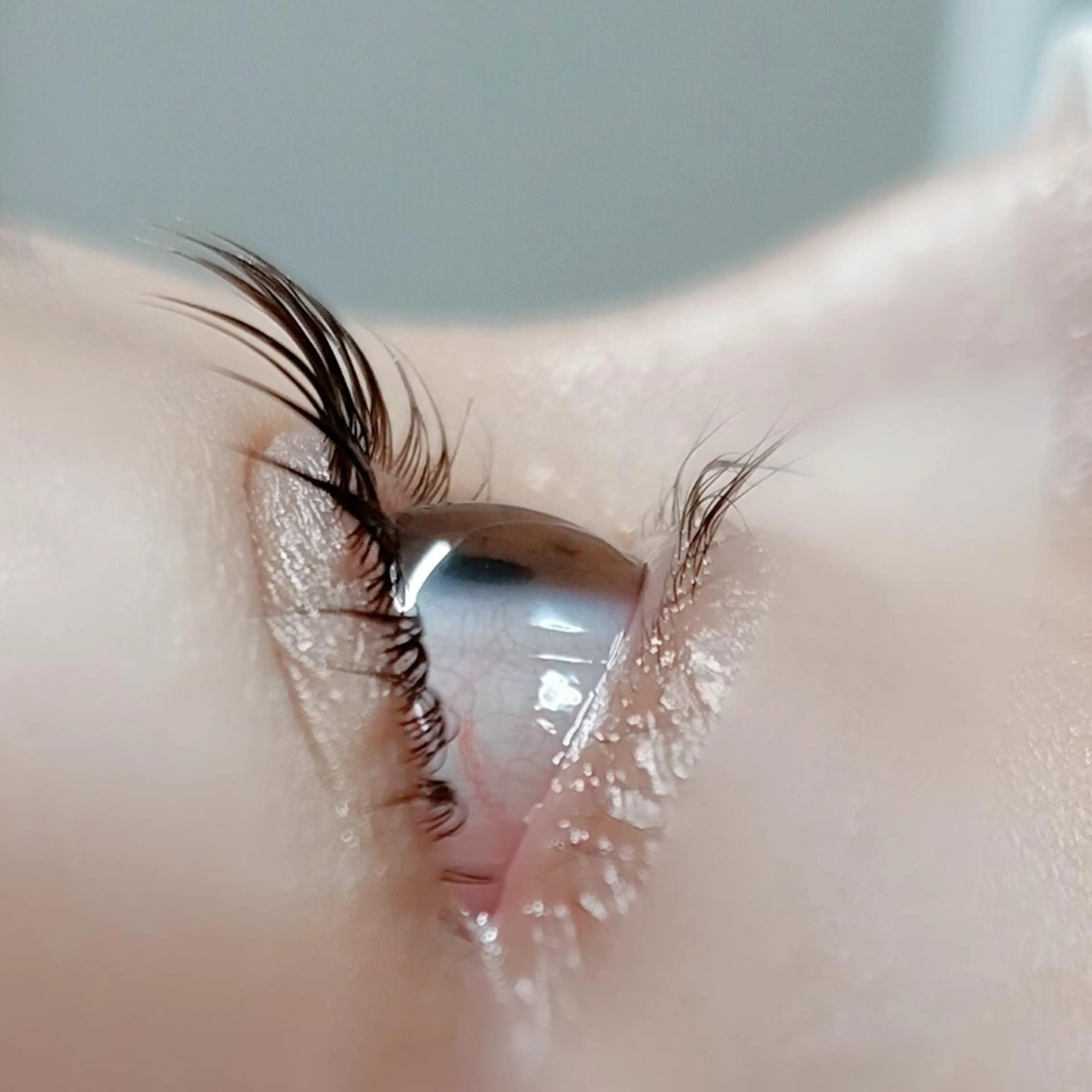 マツエク・マツパ 平山 ゆりのマツエク・マツパデザイン