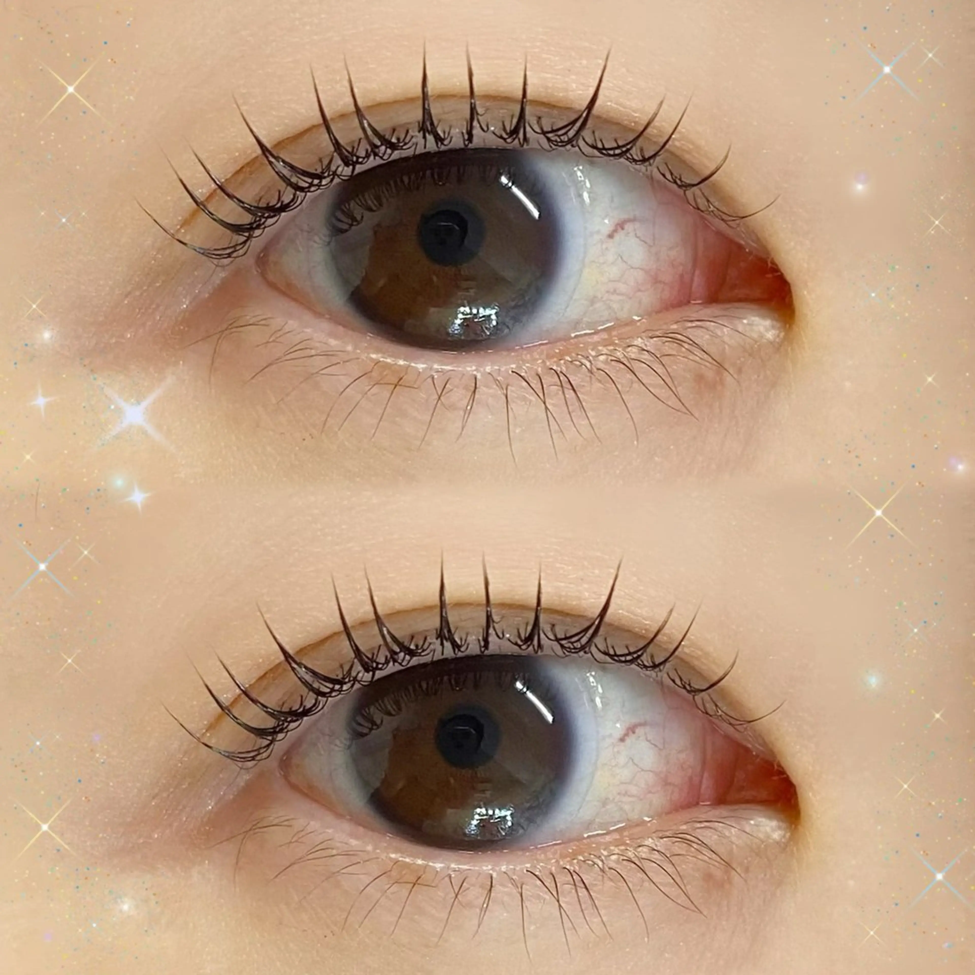 🧸上まつ毛パーマ🧸トリートメント付き✨ホワイトニングとセットでお得に🦷💎の写真