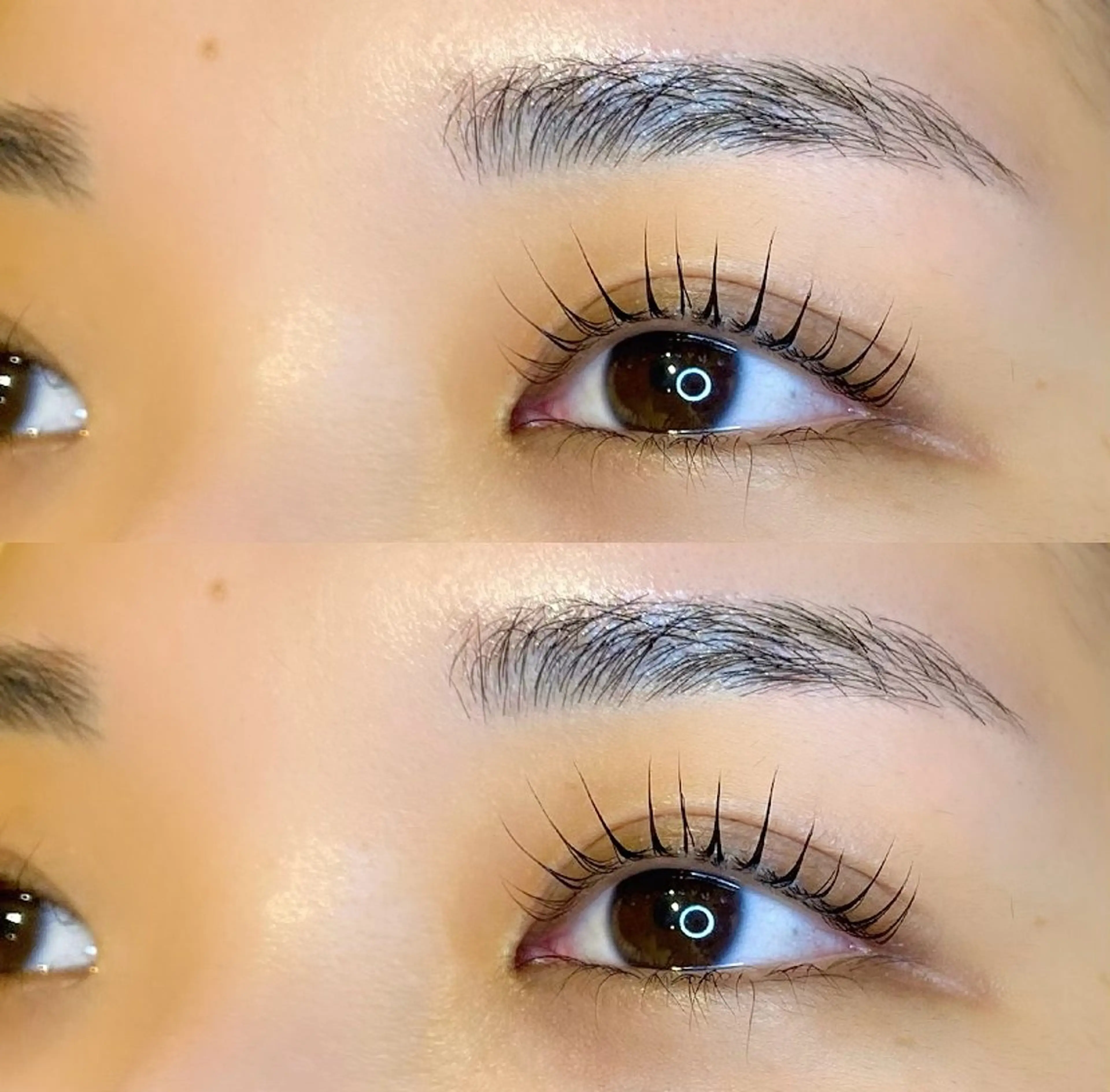 【大人気セットメニュー💞】ラッシュリフト&アイブロウスタイリング（パリジェンヌ🉑）の写真