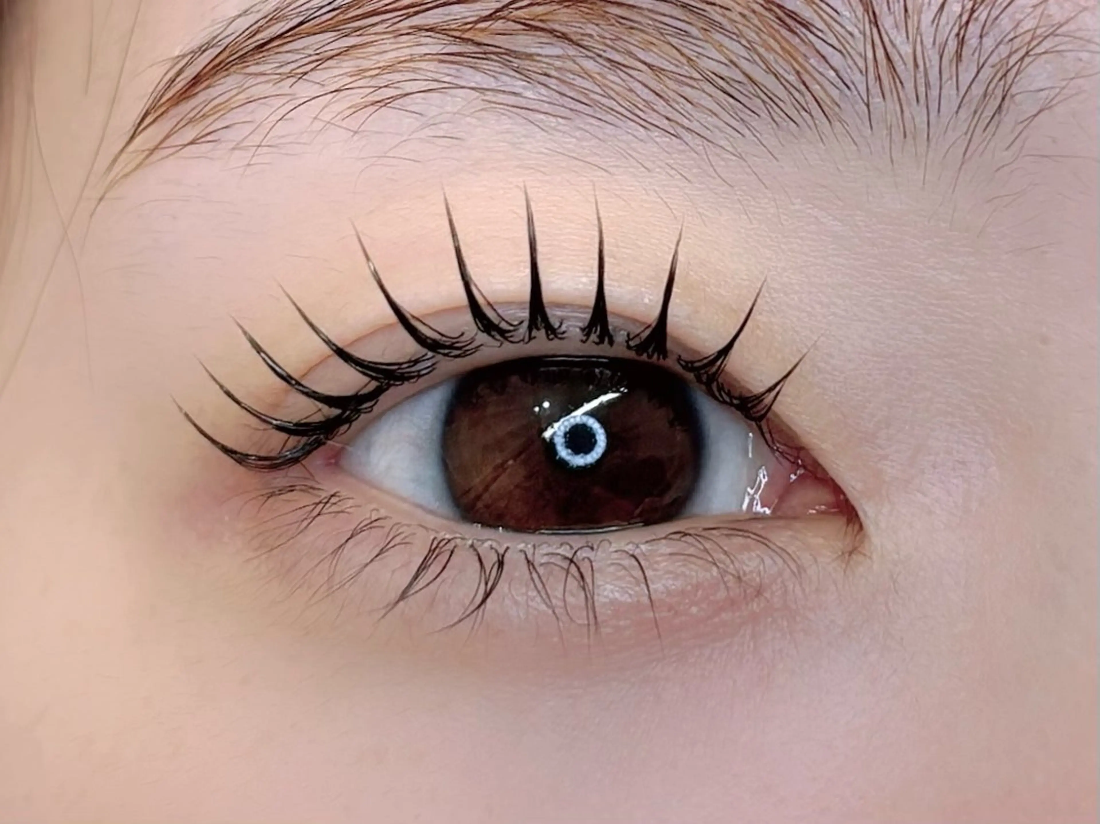 🌟minimo記念特別価格❕ 🆕menu*・マスカラパーマ🖤の写真