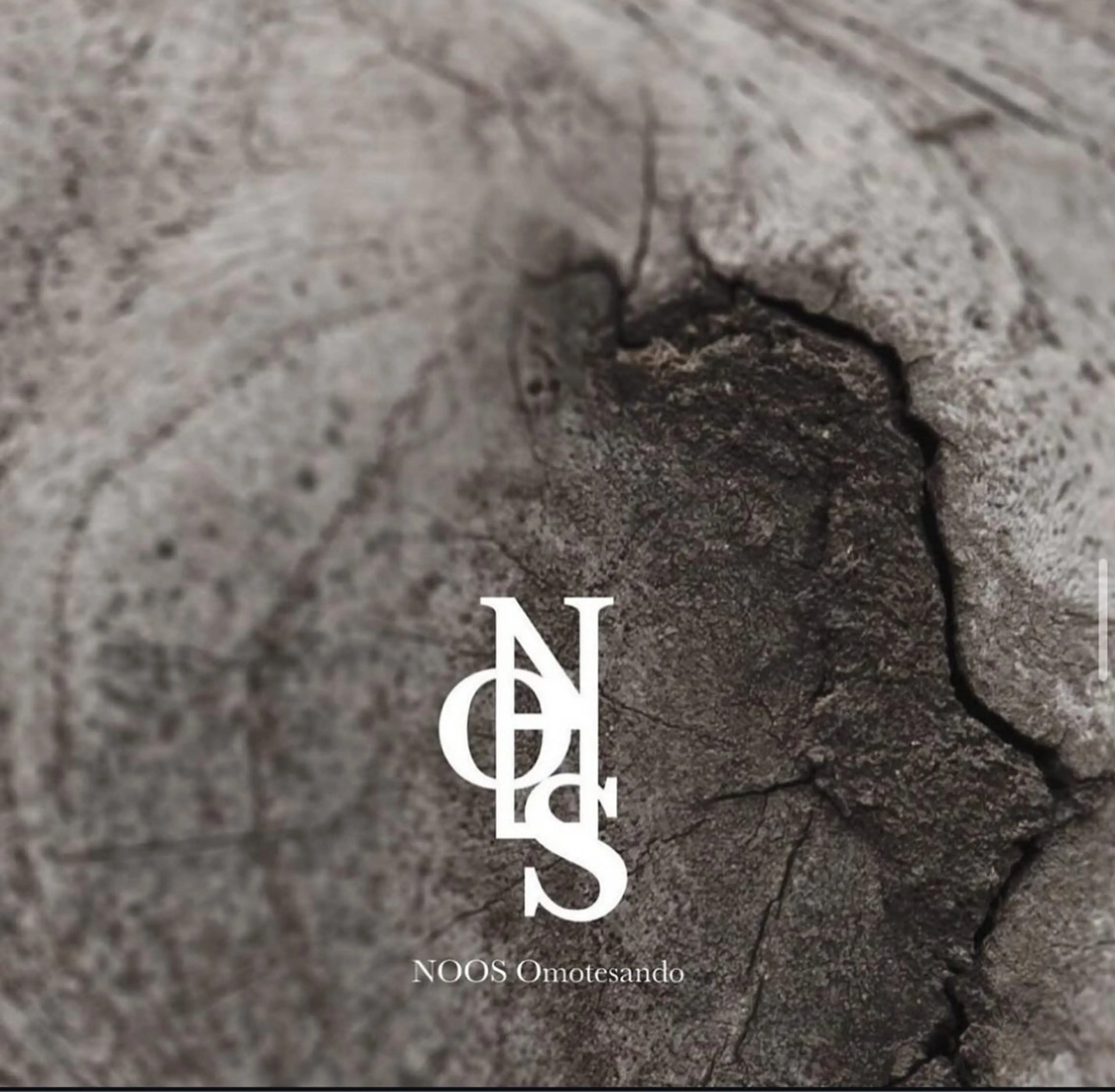 ミディアム noos表参道 ナツミのヘアスタイル