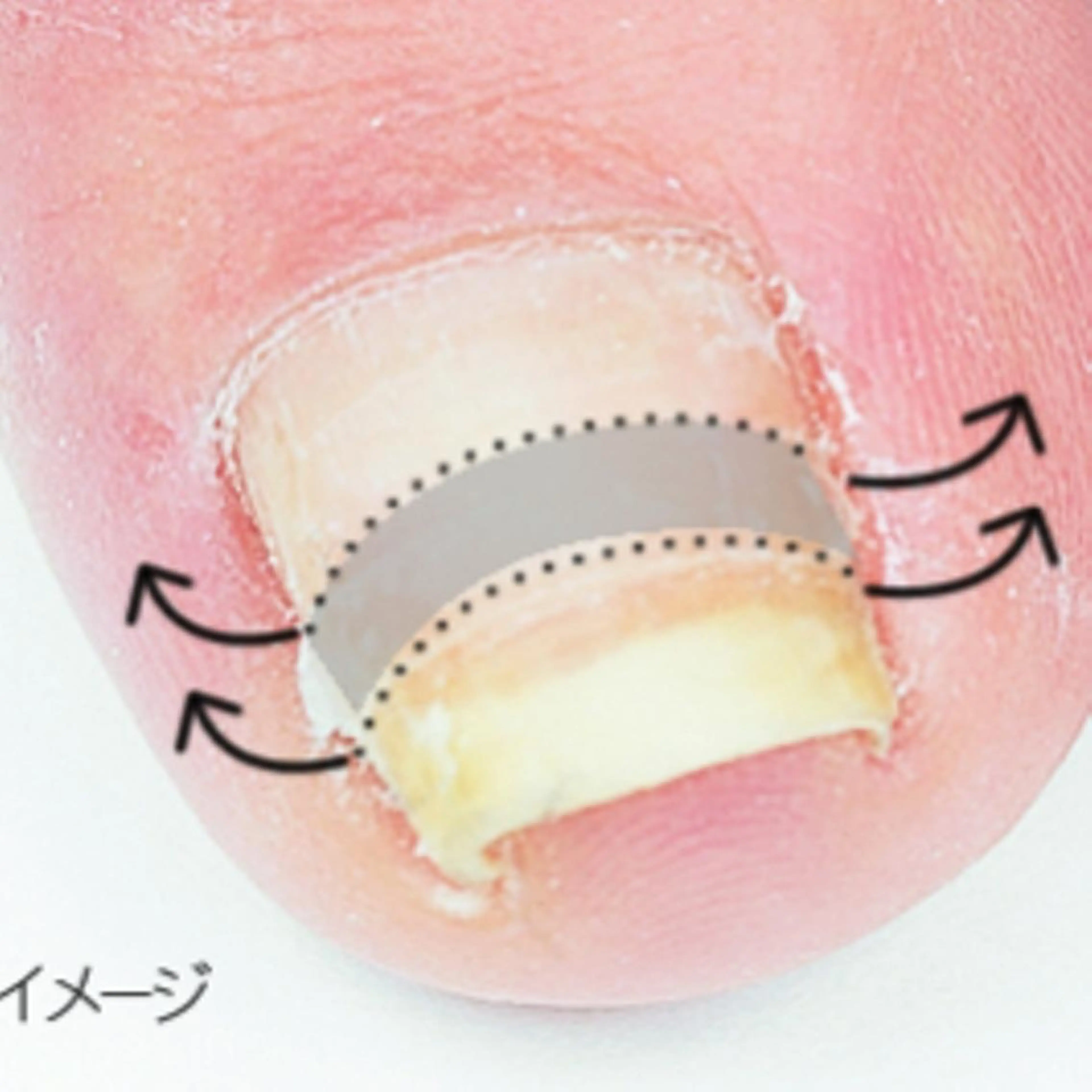 ネイル aoi nailのネイルデザイン