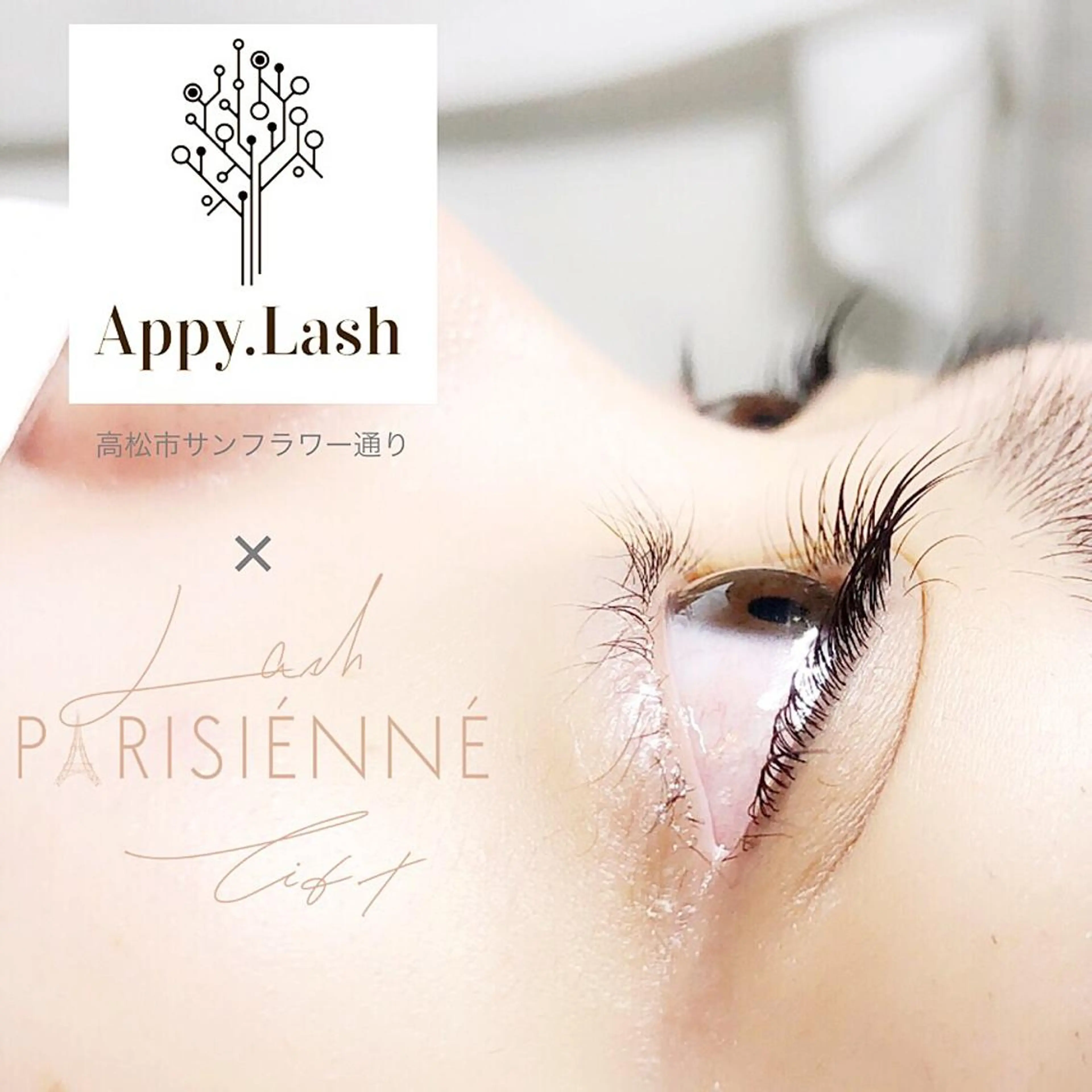 マツエク・マツパ フラットラッシュ パリジェンヌラッシュリフト ボリュームラッシュ まつげと眉の専門店 Appy.Lashのマツエク・マツパデザイン