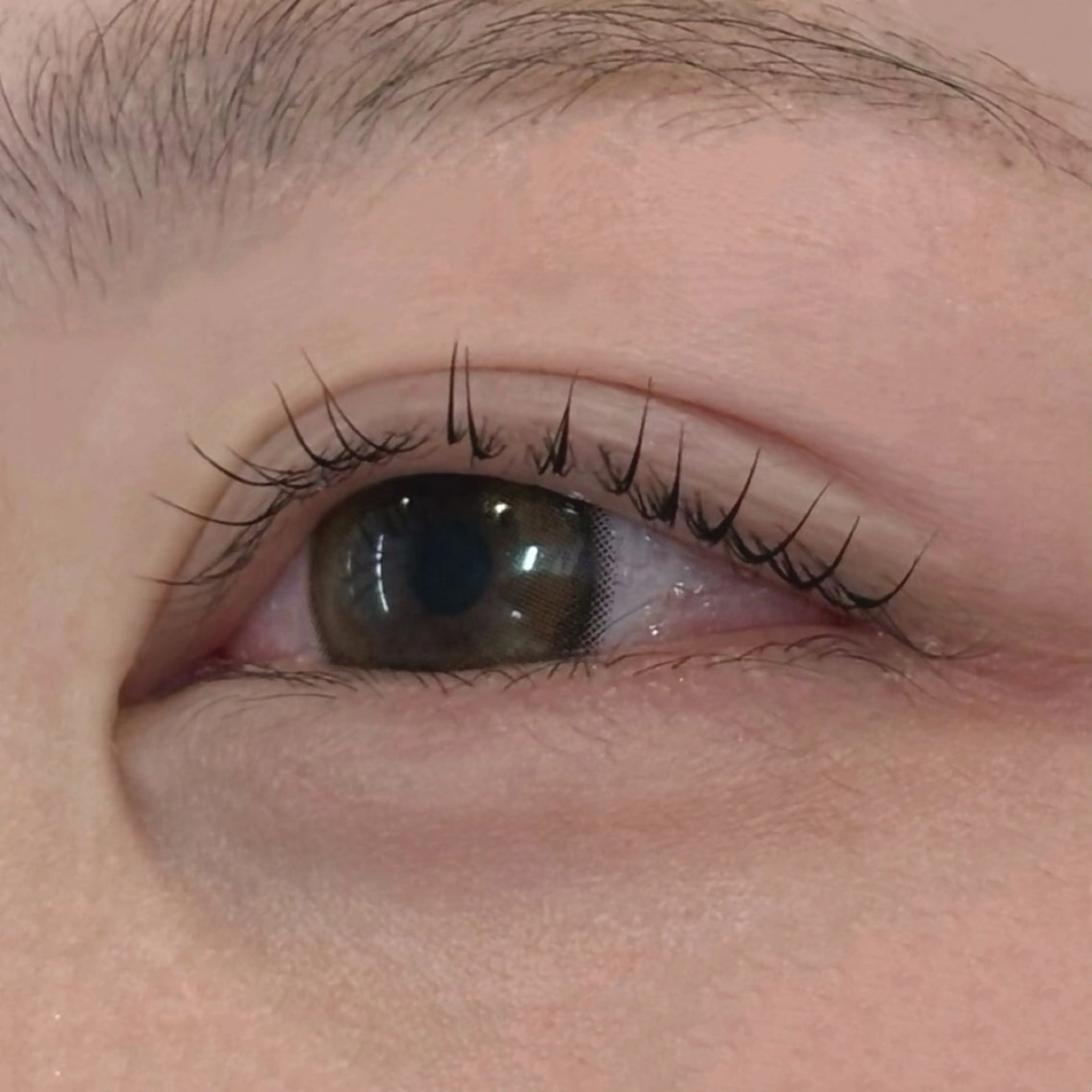 マツエク・マツパ MASAMI / 四条烏丸店のマツエク・マツパデザイン