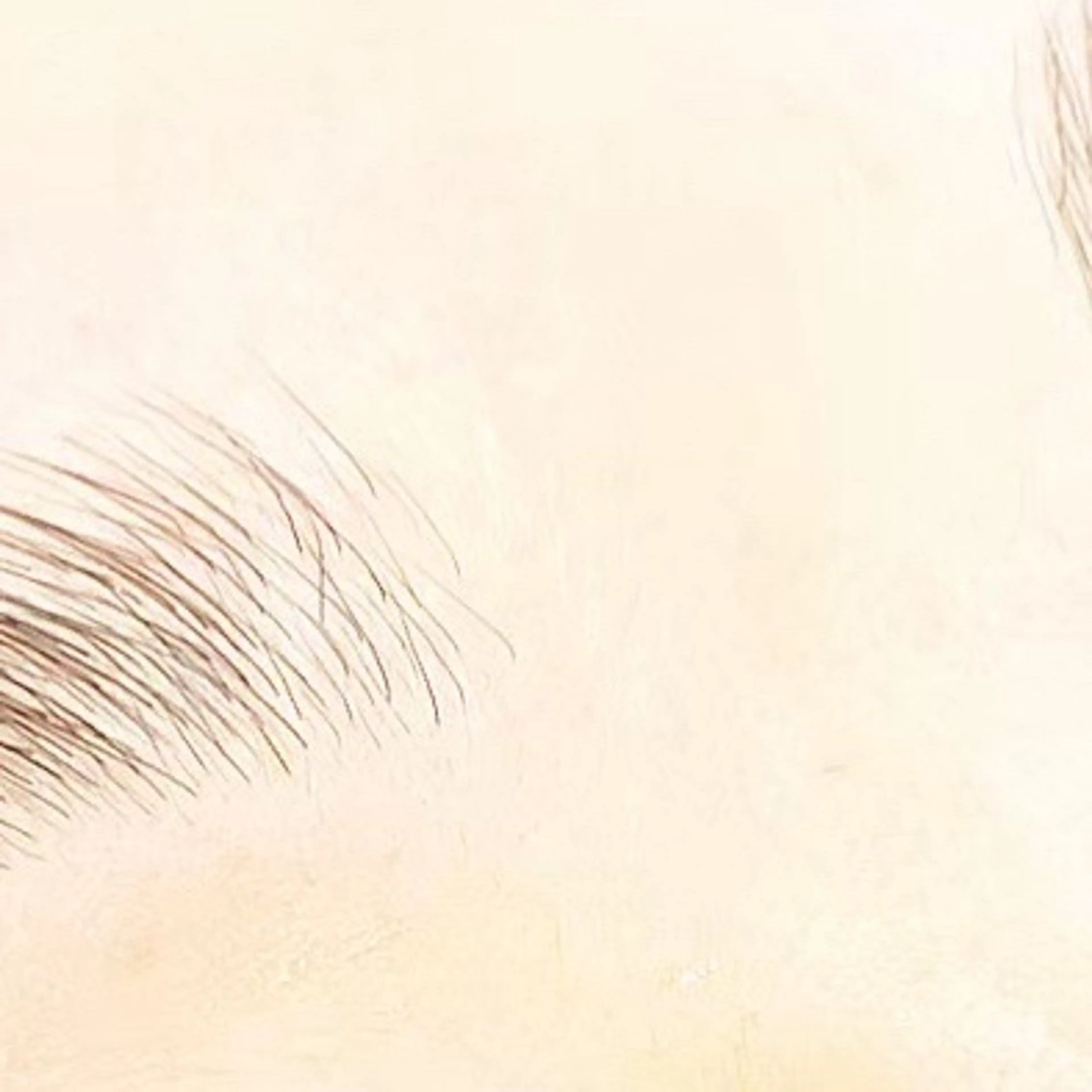 マツエク・マツパ eyelash- r🌹の眉毛・アイブロウイメージ