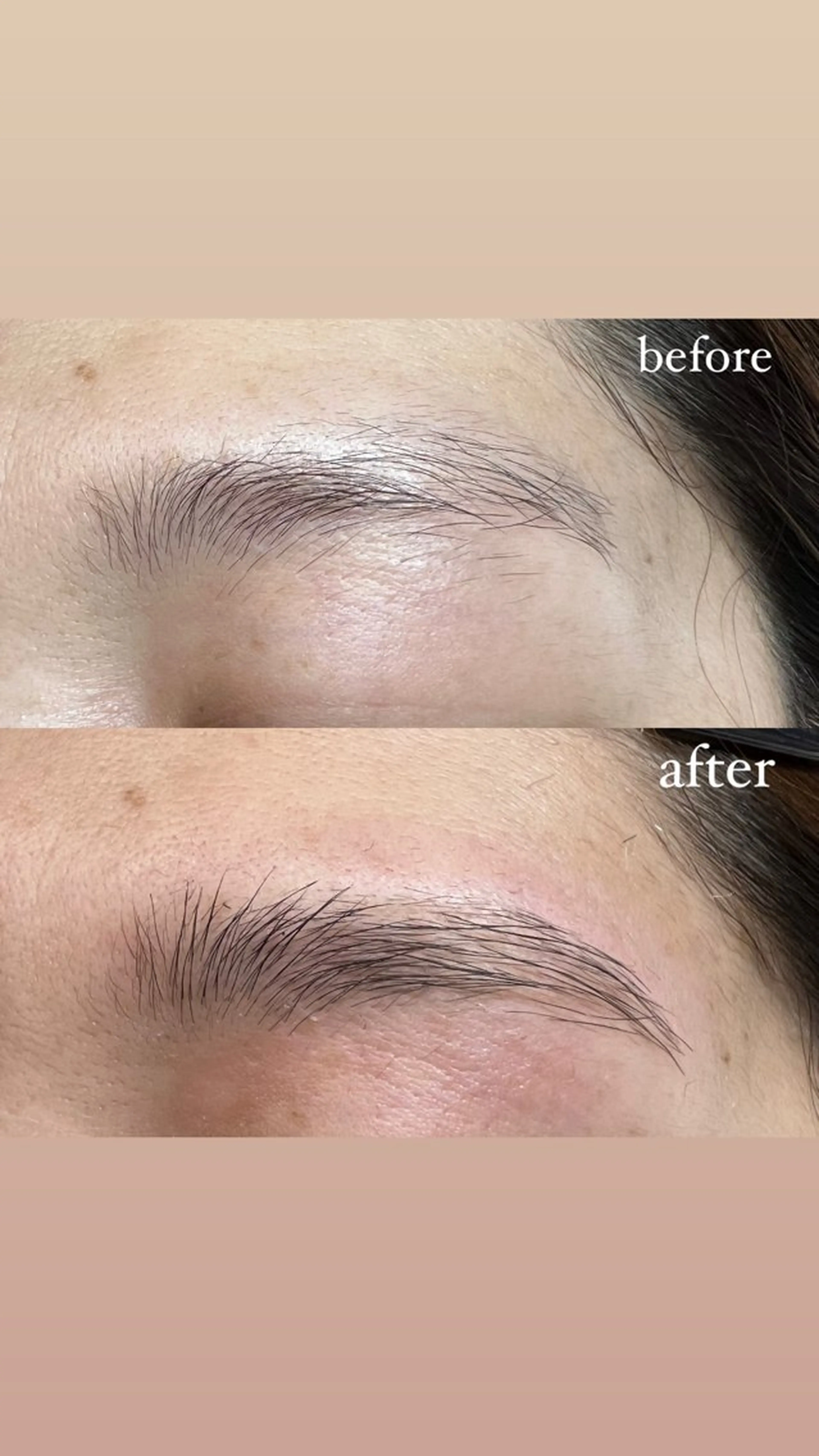 アイブロウ PALM所属・PALM パームのマツエク・マツパデザイン