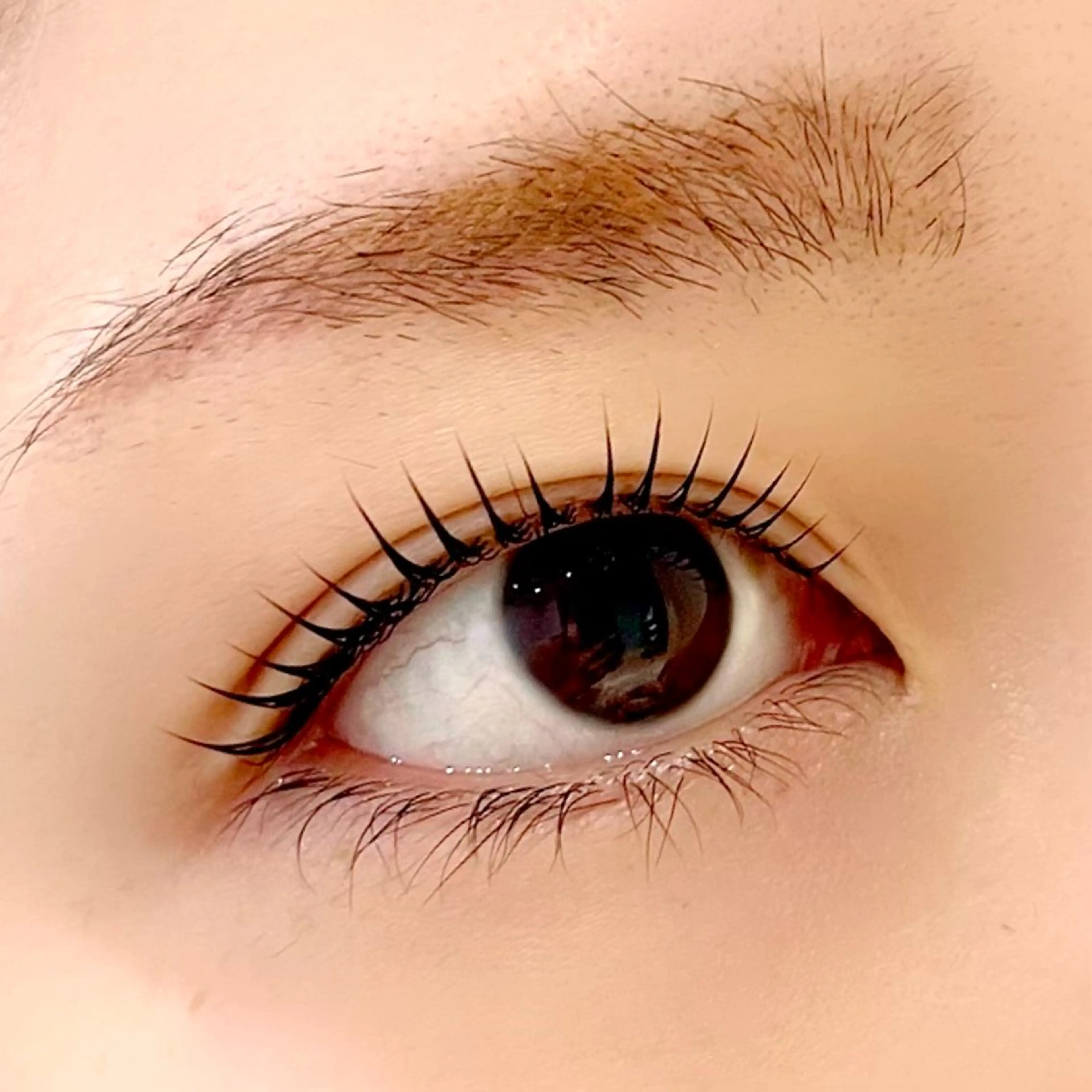 マツエク・マツパ マツパ 🪸似合わせ/お悩み 解決🪸しもだのマツエク・マツパデザイン