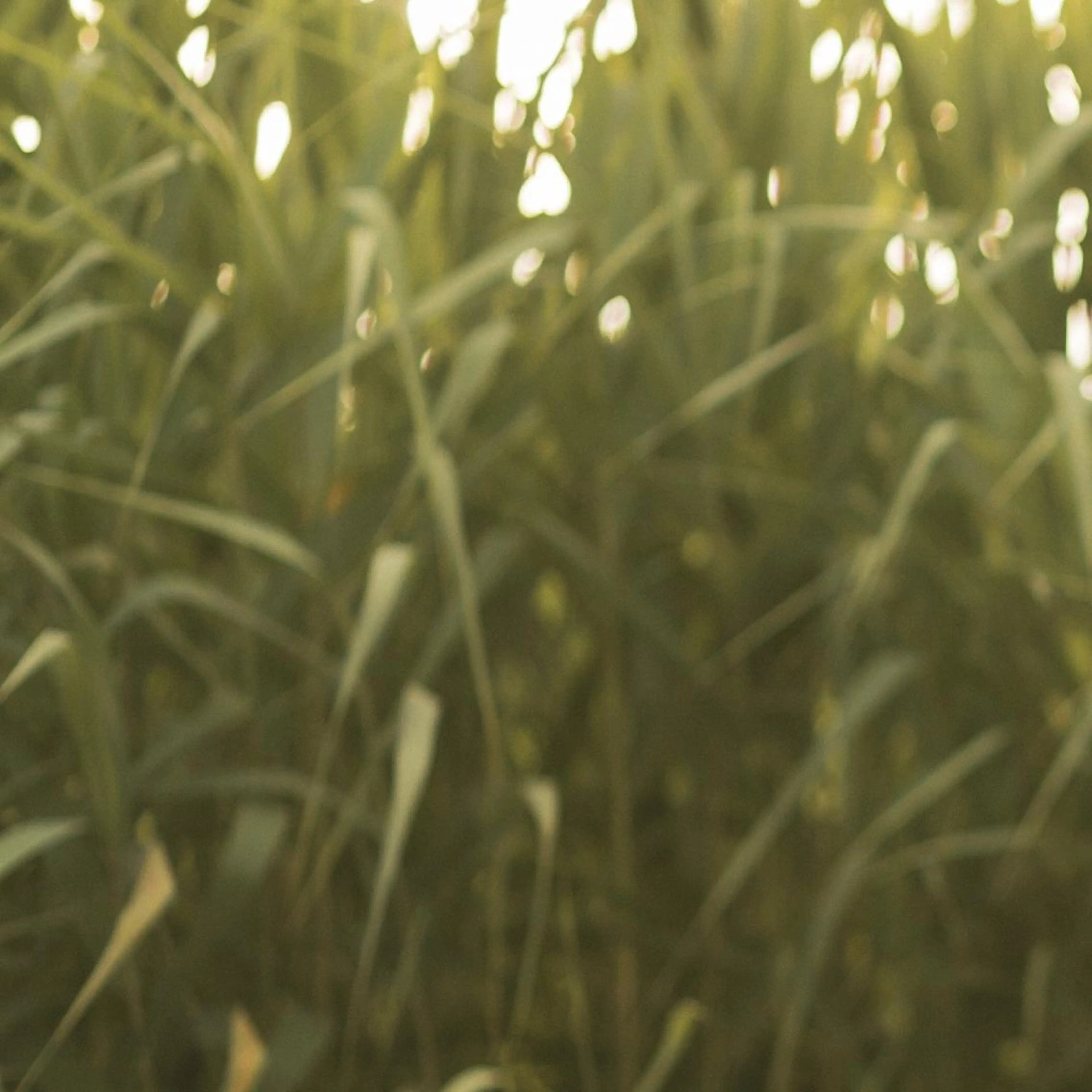 滝澤 良紀のヘアスタイル