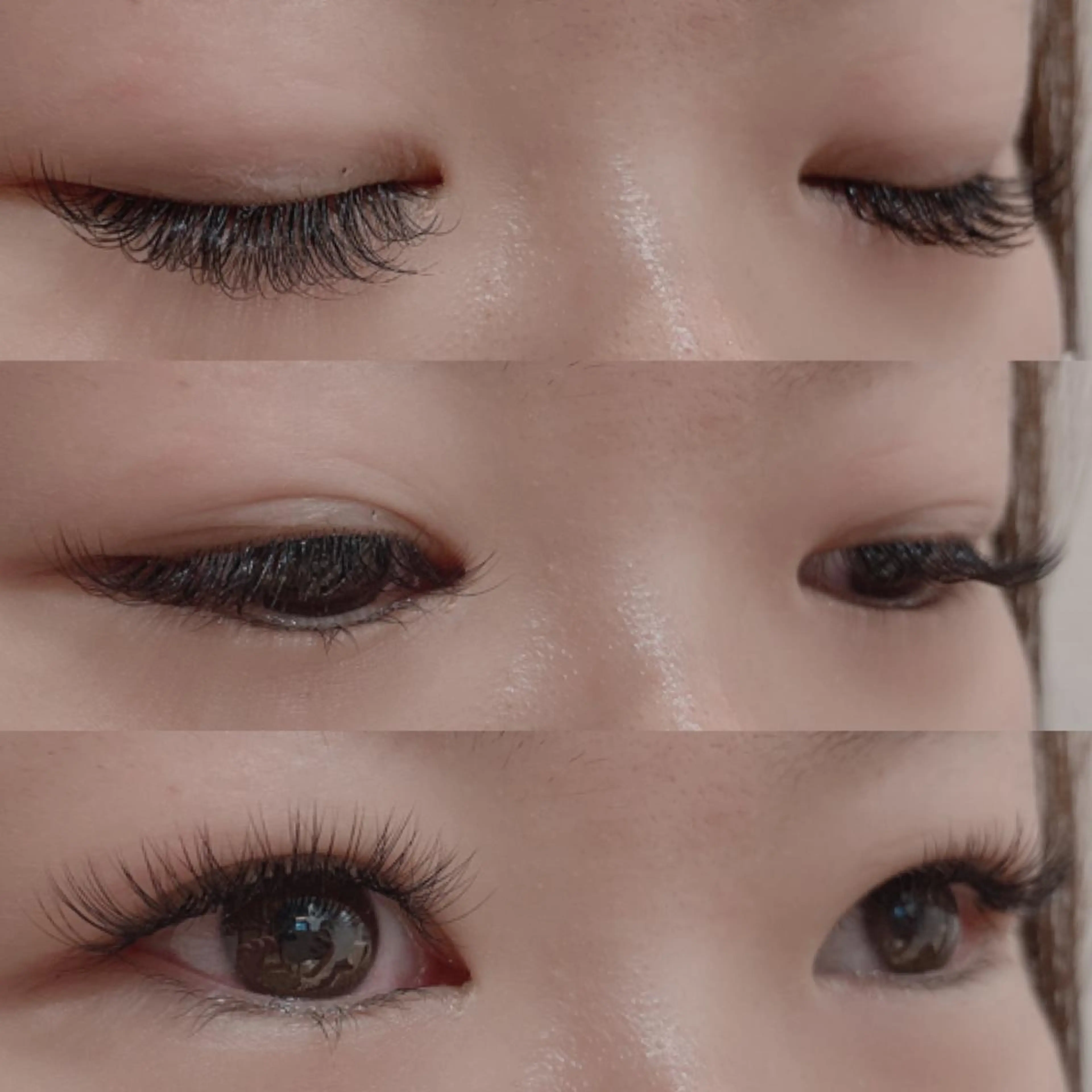 【マツエク】高級セーブルシングル100本🌼の写真