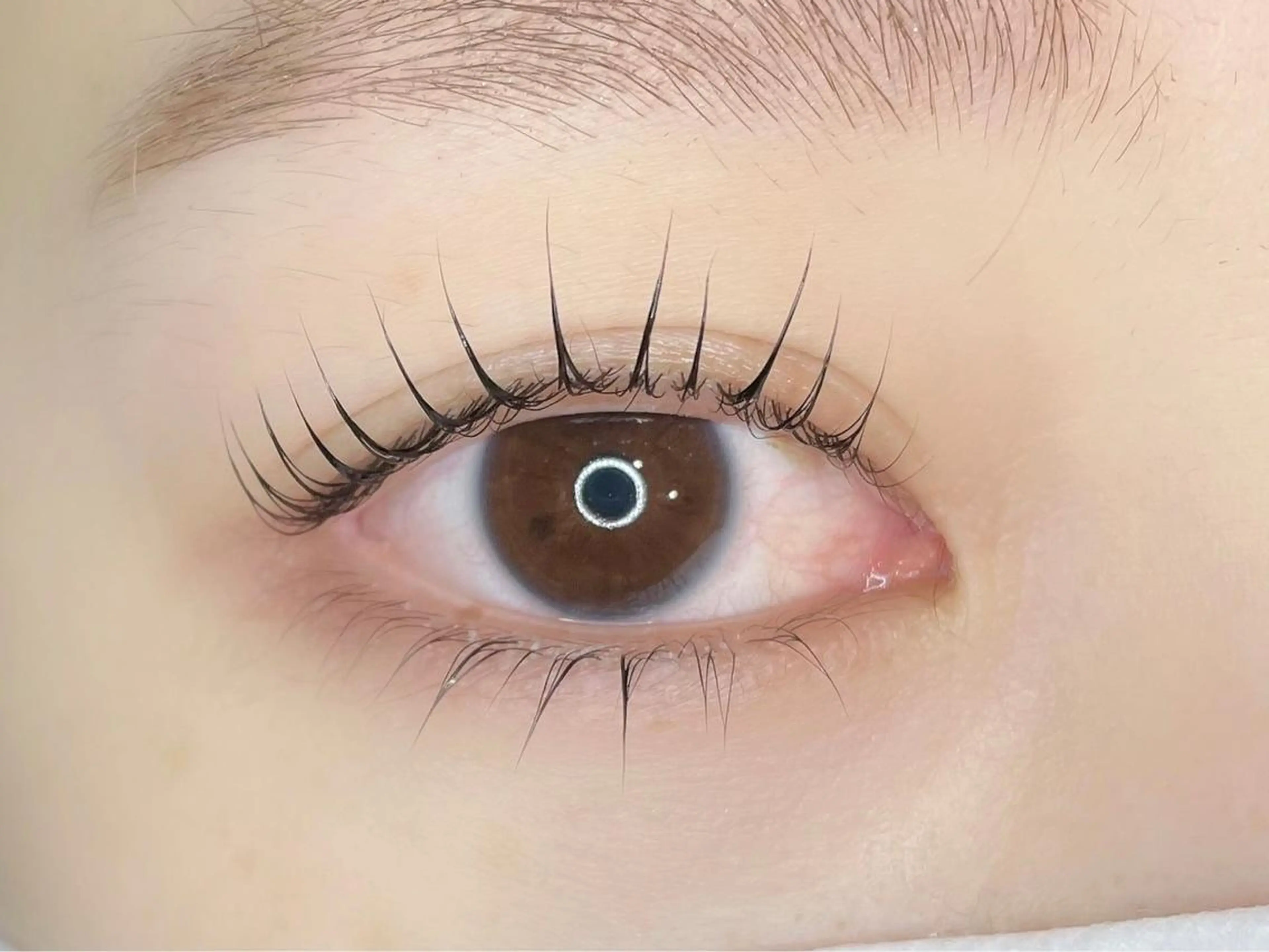 マツエク・マツパ マツパ eyelist 大垣のマツエク・マツパデザイン