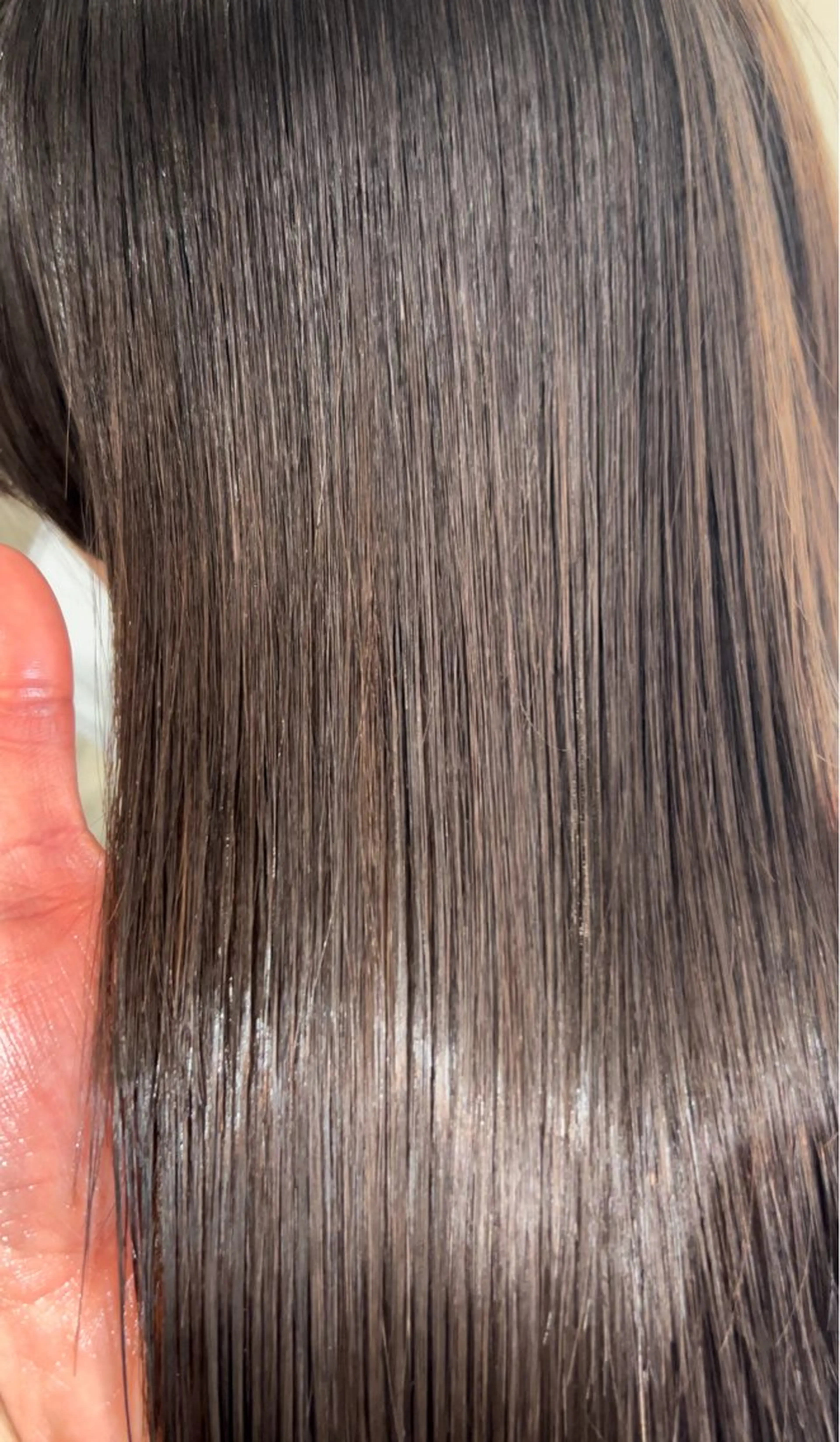 二宮 陽太のヘアスタイル