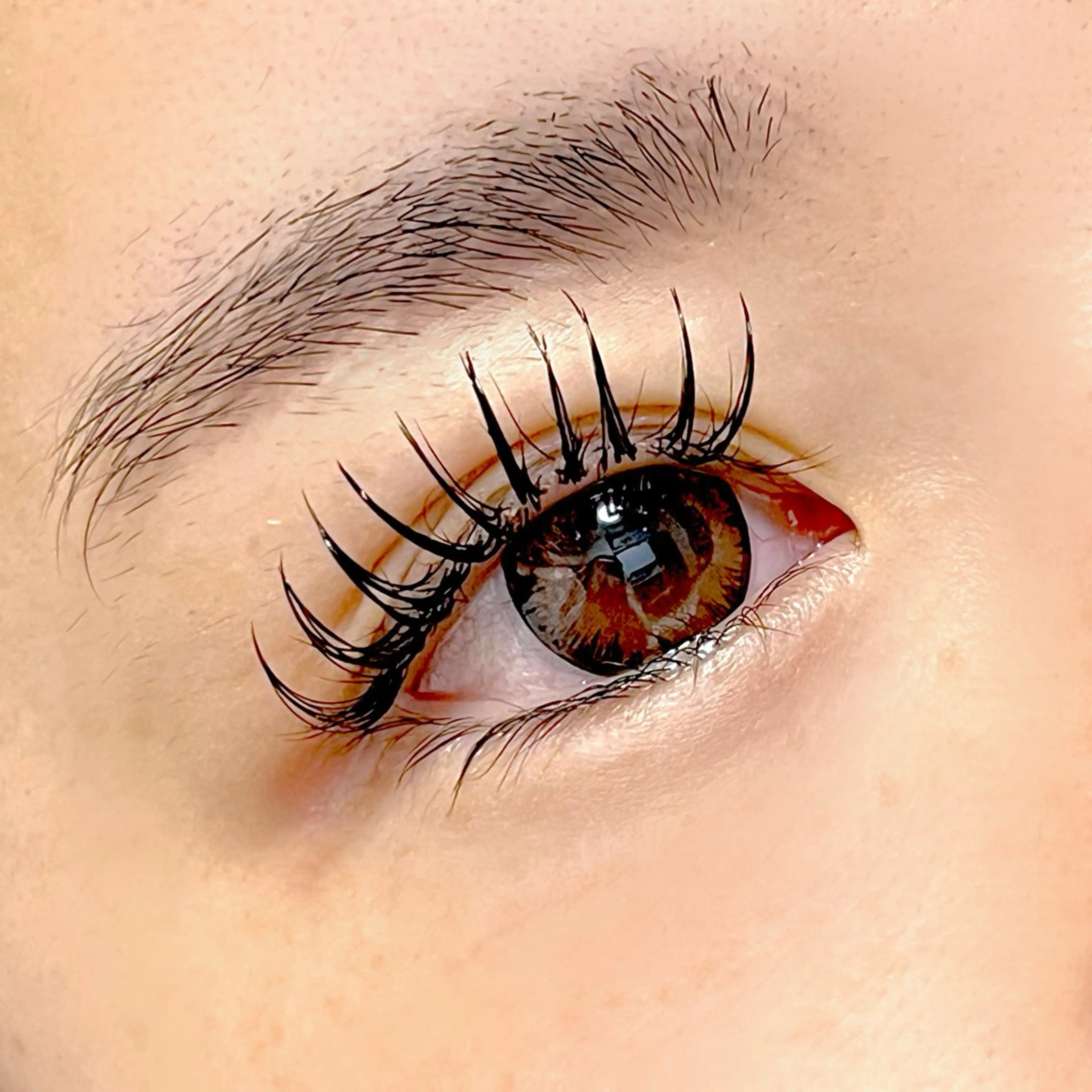 セーブルフラットラッシュ付け放題(LED＋1.500円)の写真