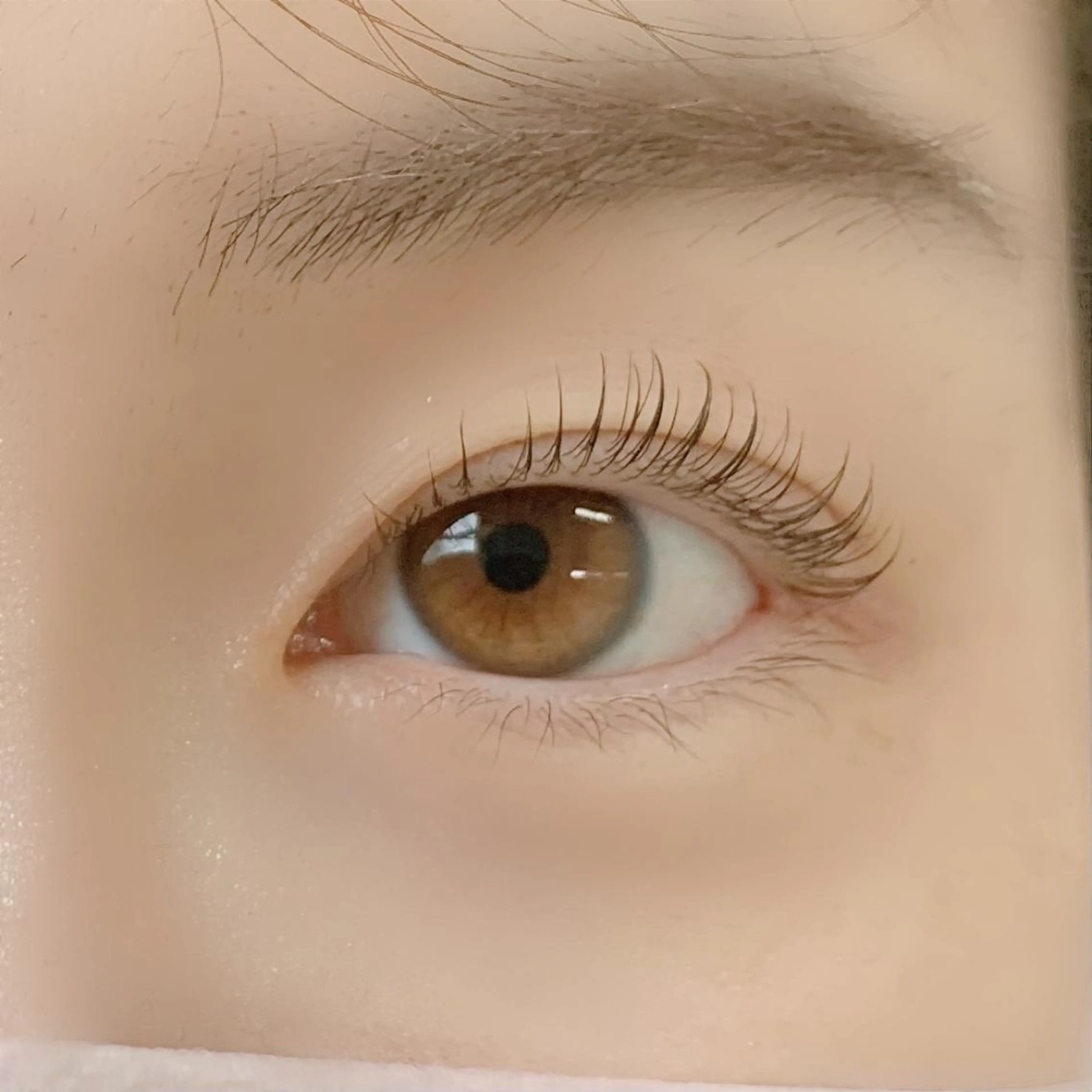 上まつ毛パーマ🎀毛に優しいケラチンラッシュリフト🎀次世代まつ毛パーマ🎀コーティング付きの写真