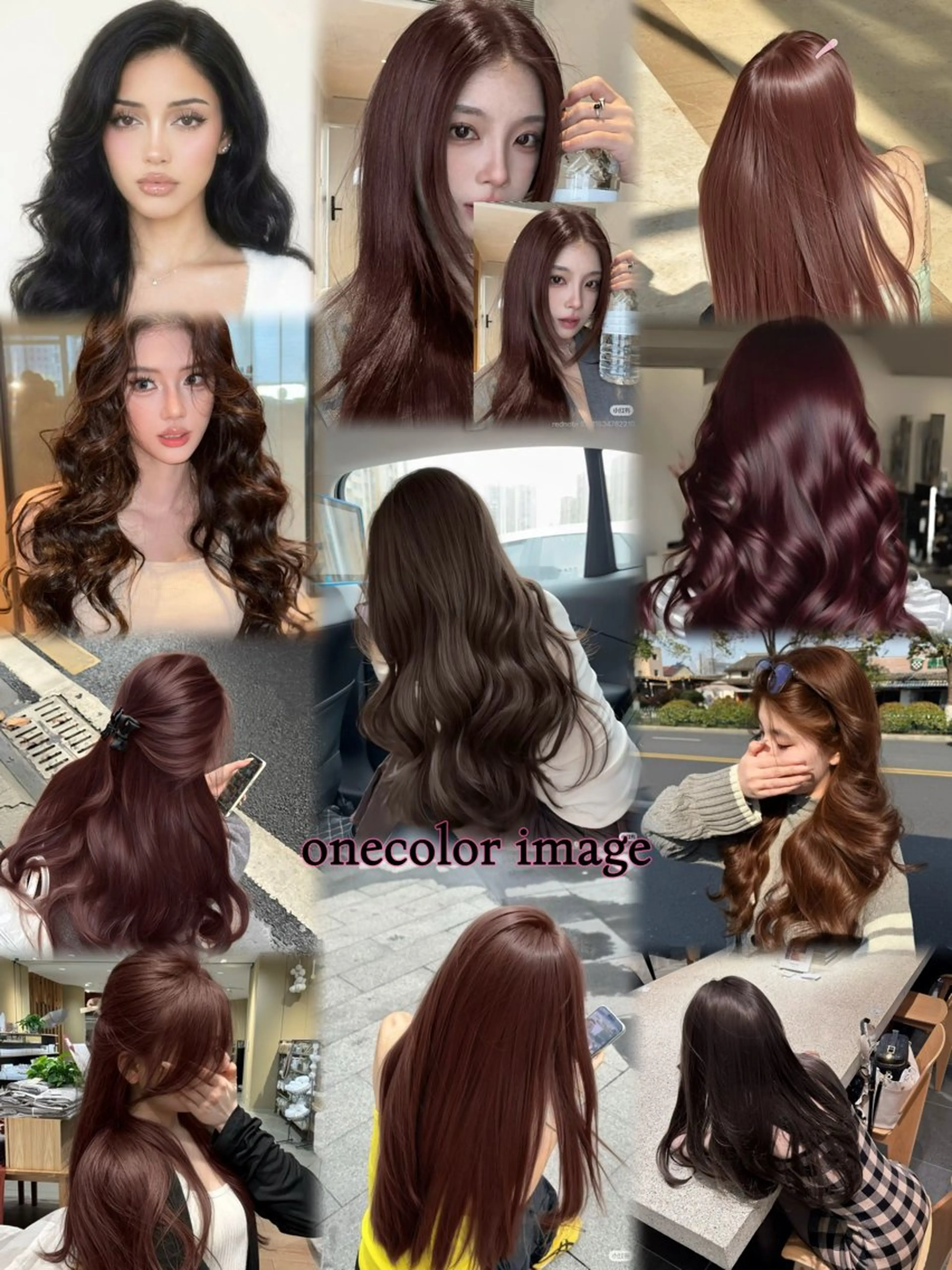 ワンカラーの写真