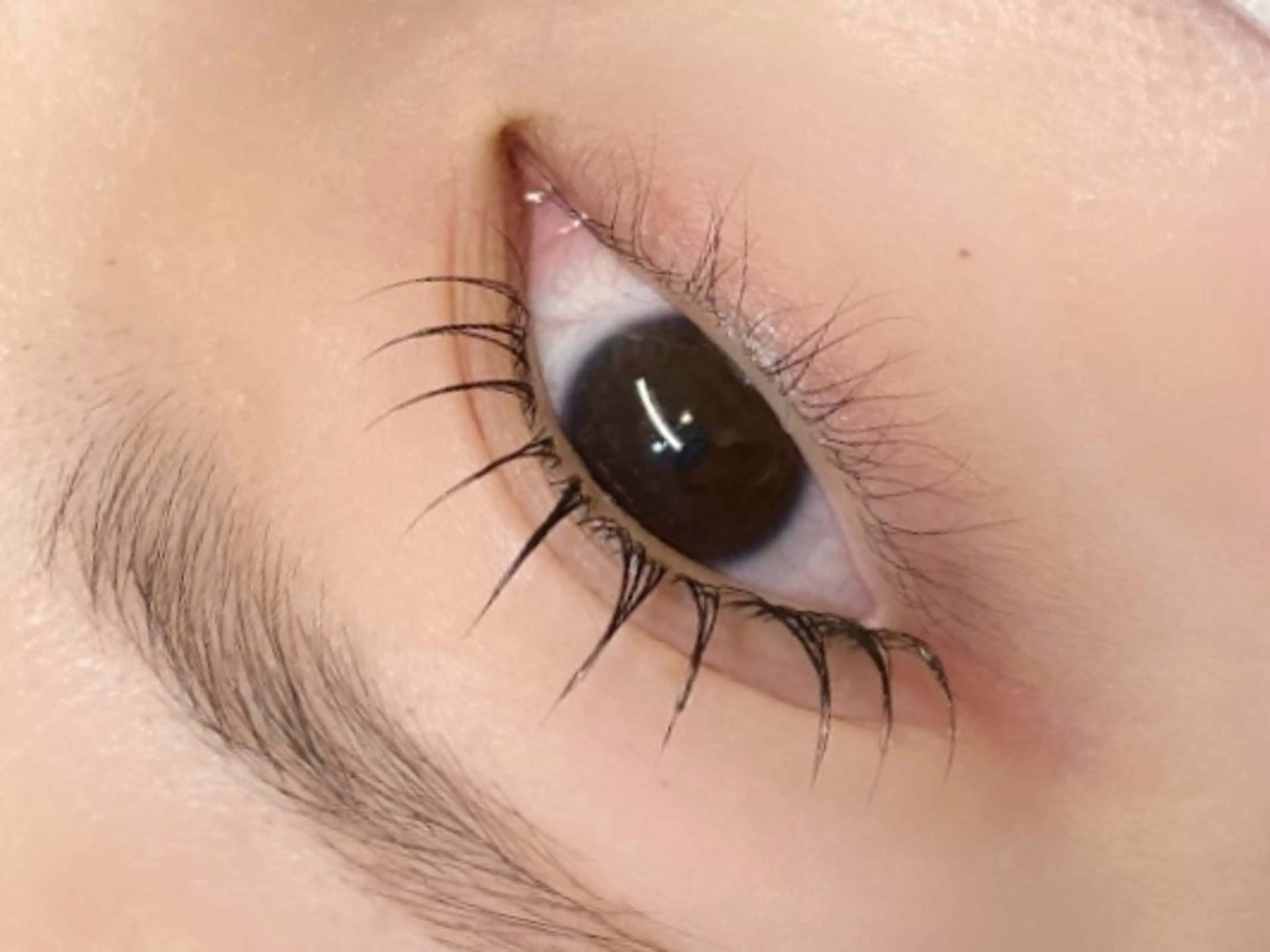 マツエク・マツパ ルクール見附店 吉田愛来のマツエク・マツパデザイン