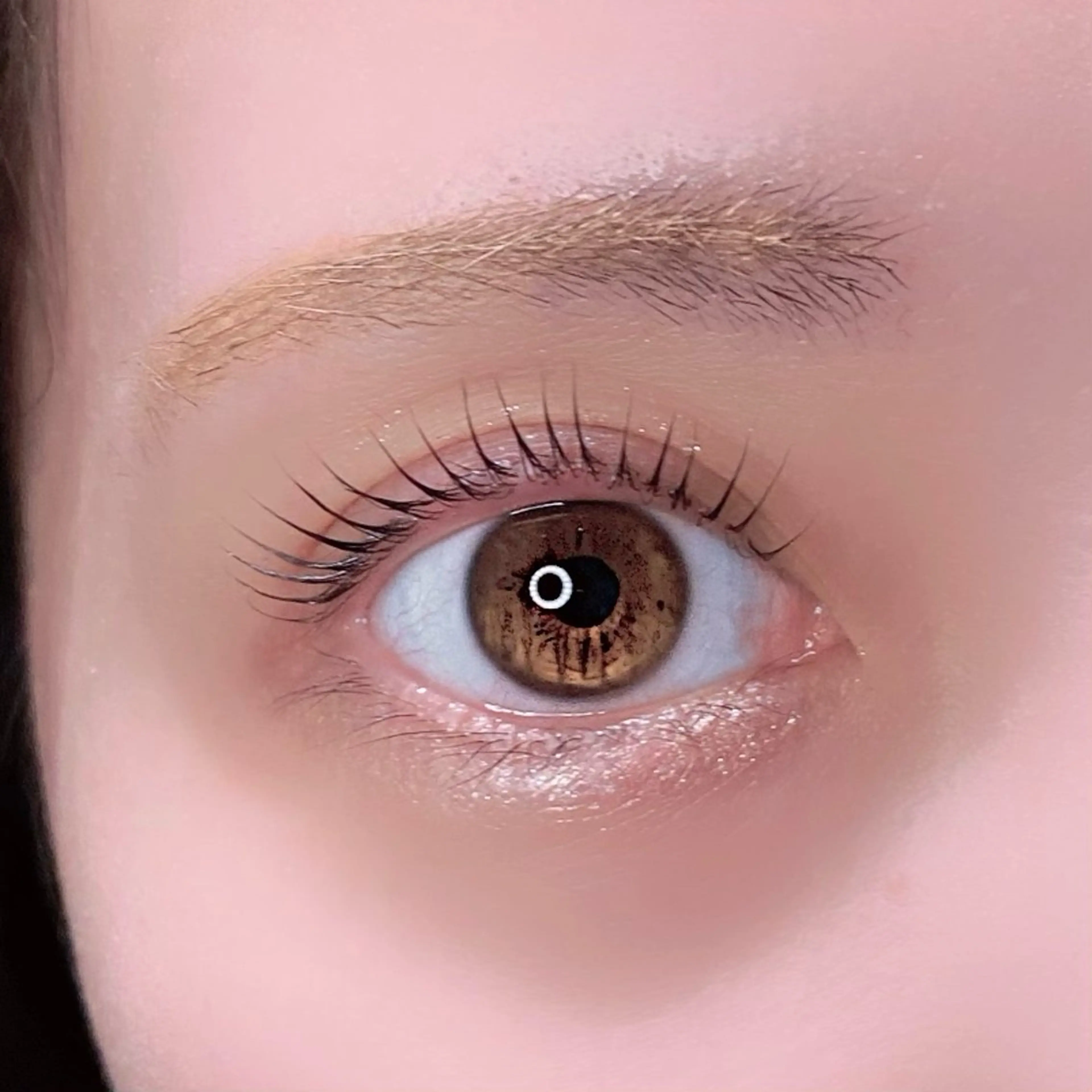 マツエク・マツパ マツパ ɴᴇʀᴏʟɪ ♡ ᴀʏᴀᴋᴀの眉毛・アイブロウイメージ